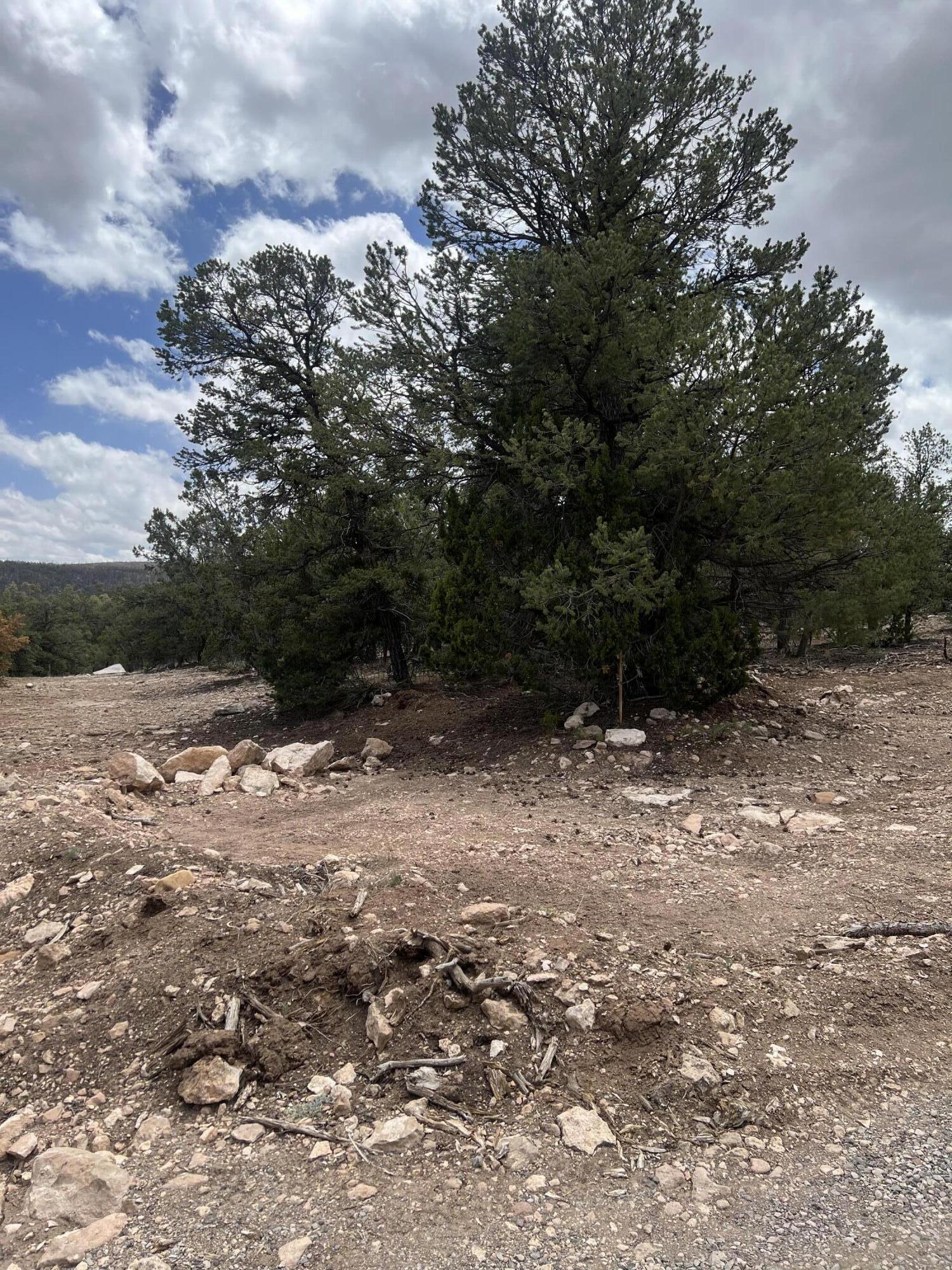 Lot 15 Marlin Road 15