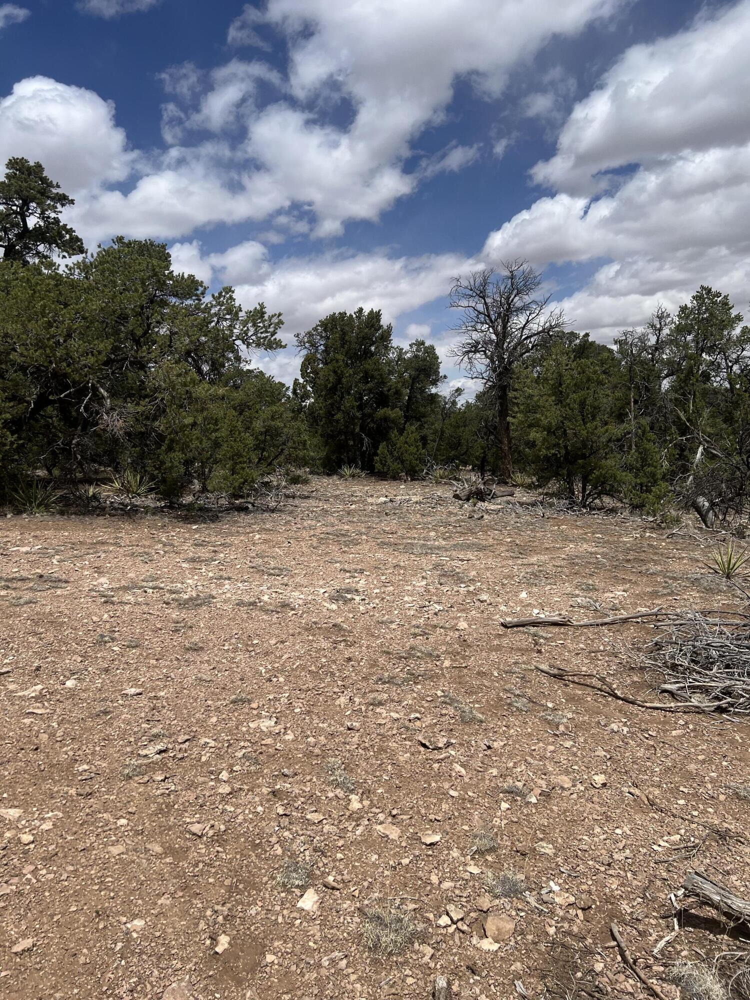 Lot 15 Marlin Road 15