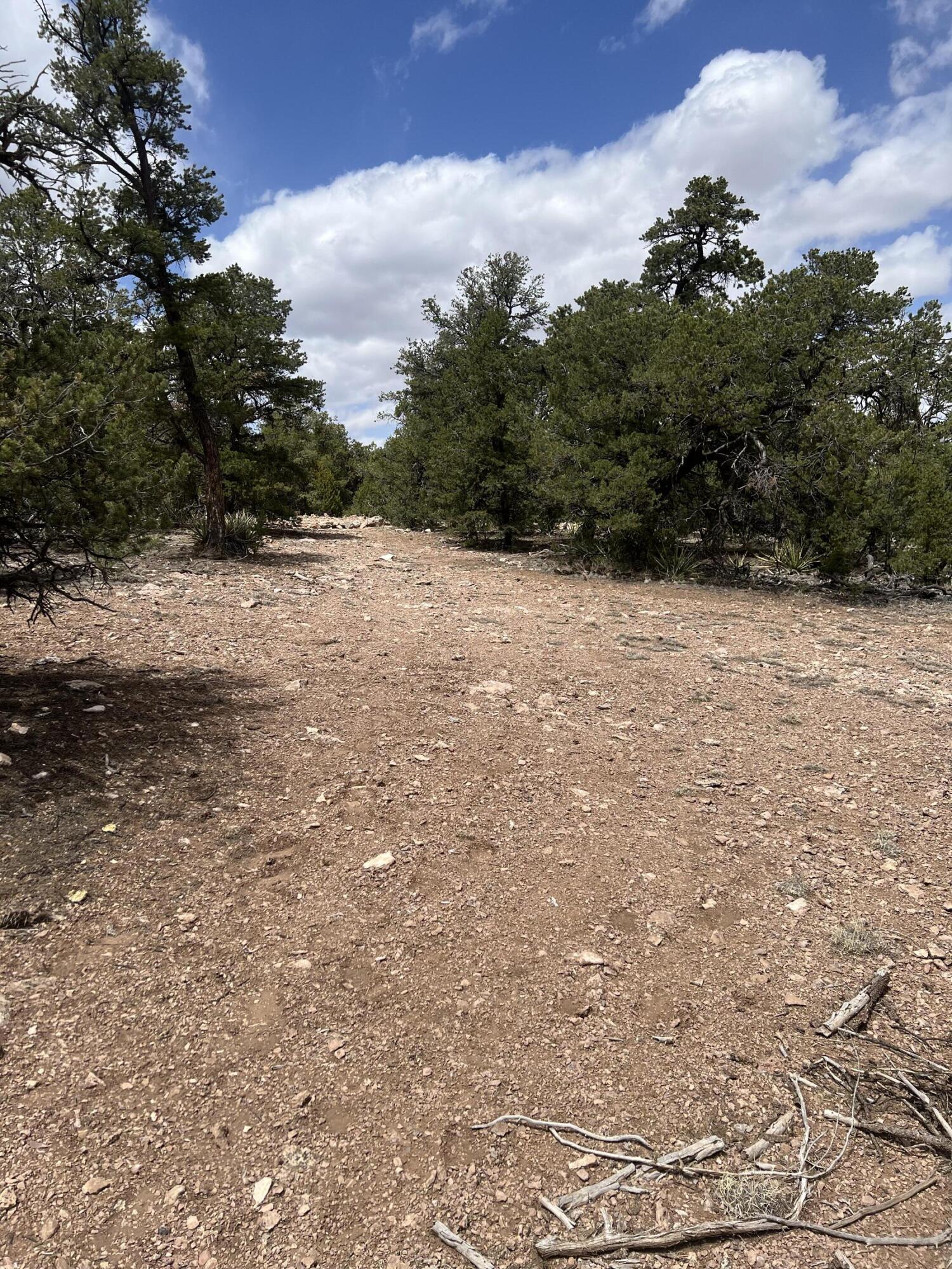 Lot 15 Marlin Road 15