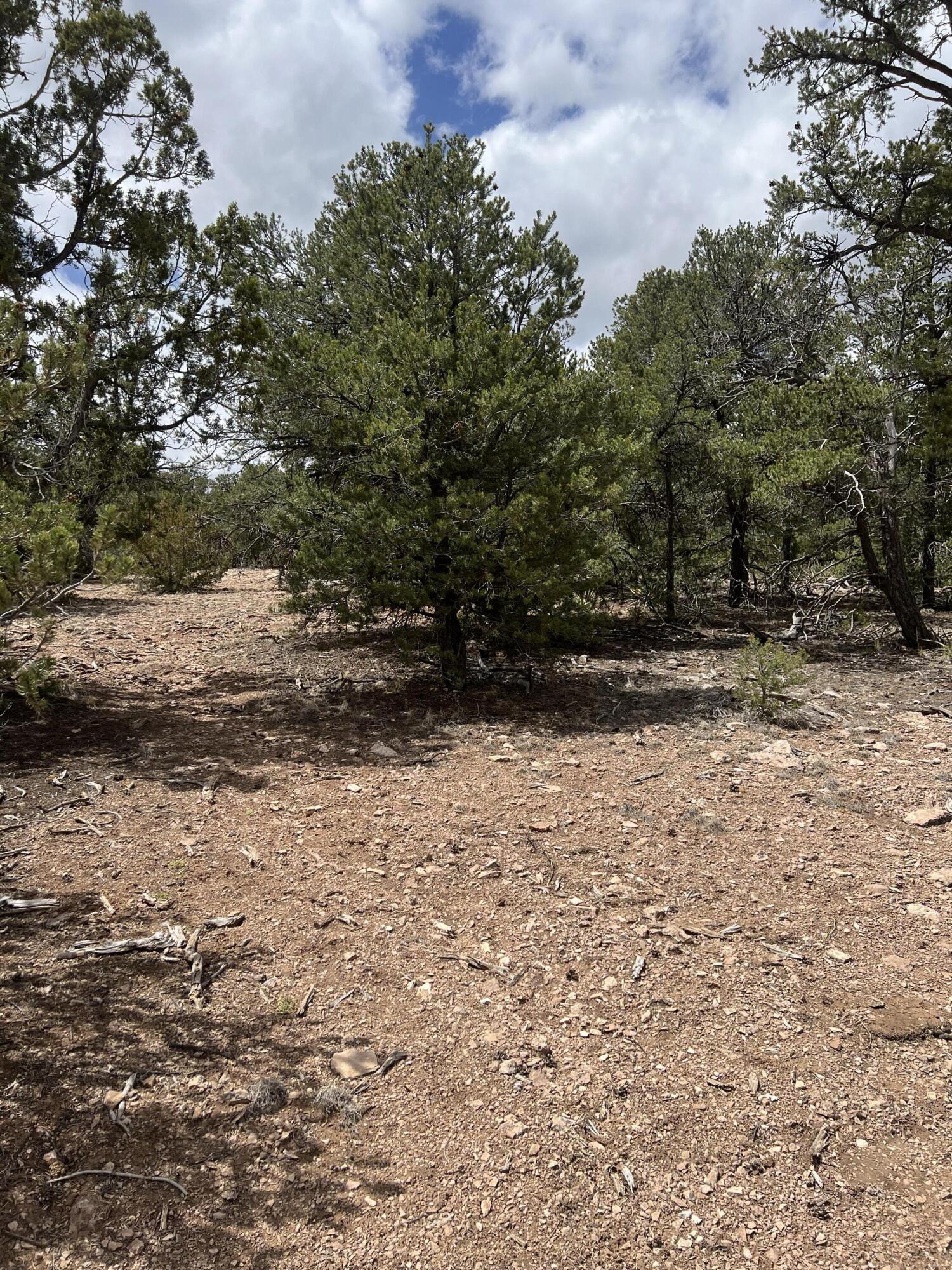 Lot 15 Marlin Road 15