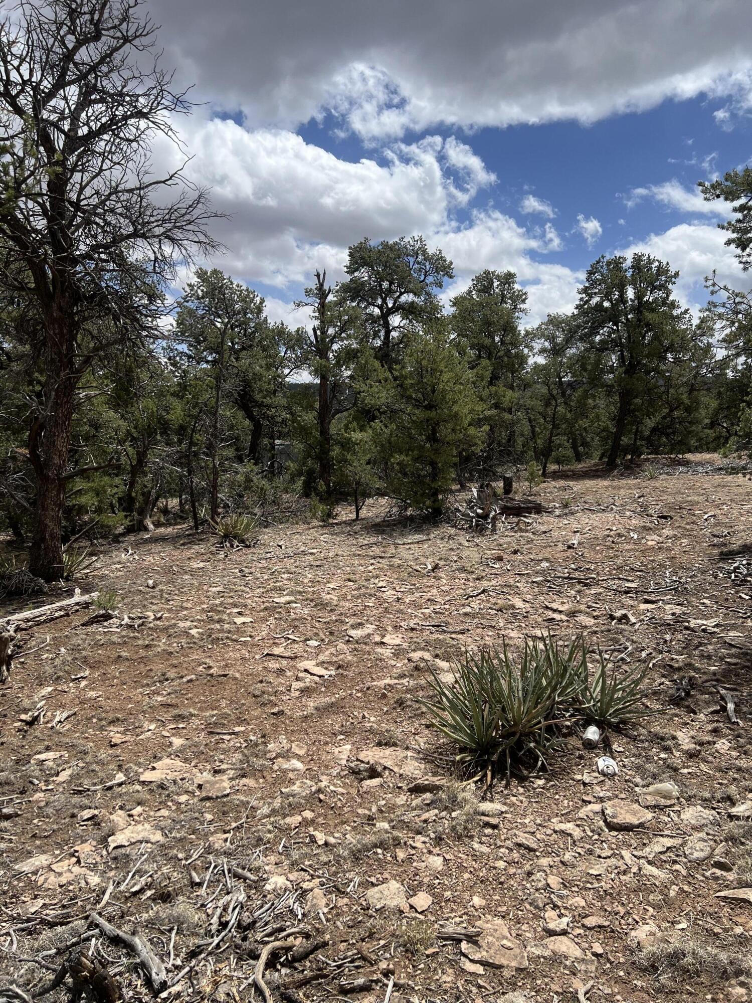 Lot 15 Marlin Road 15