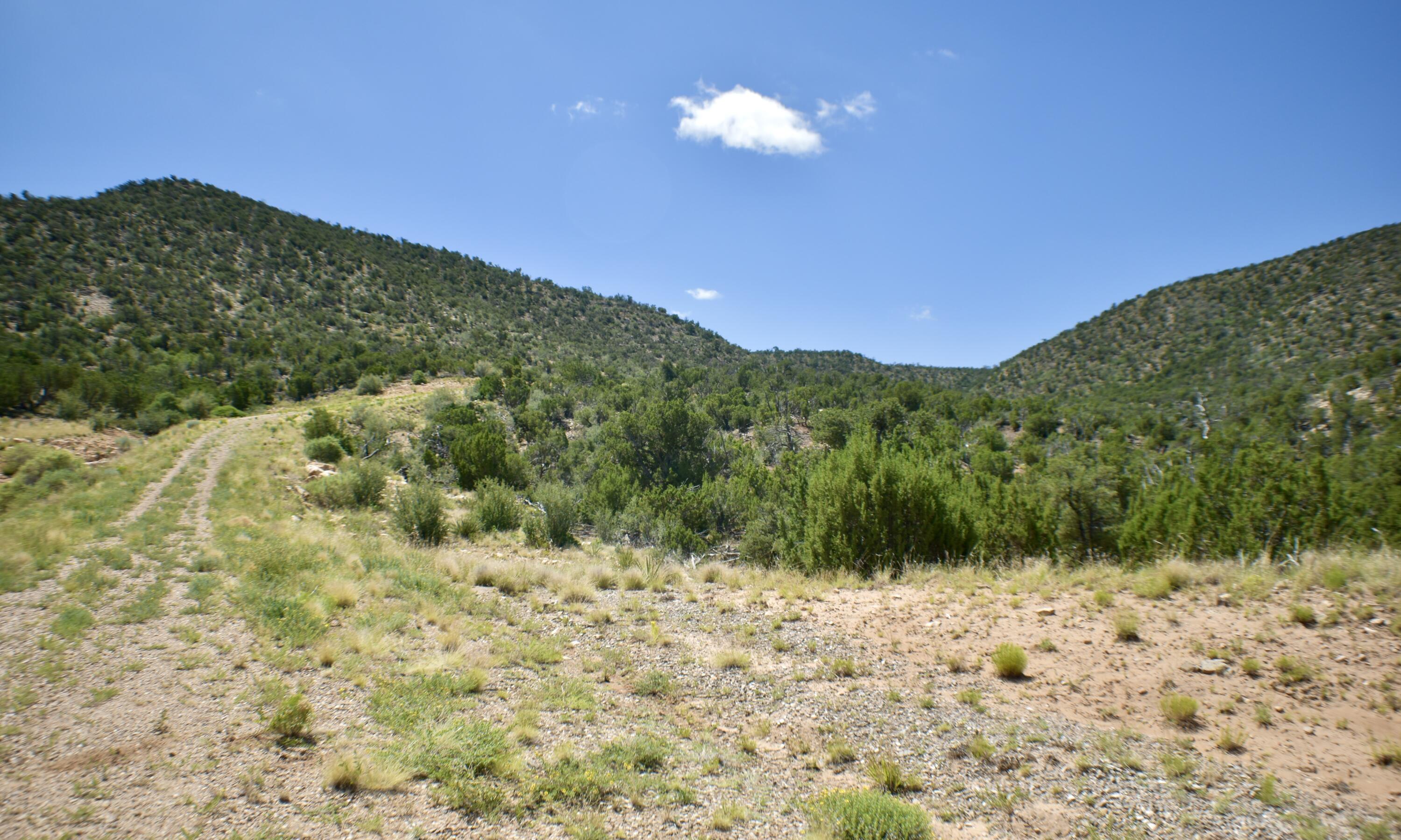 6 Chato Trail