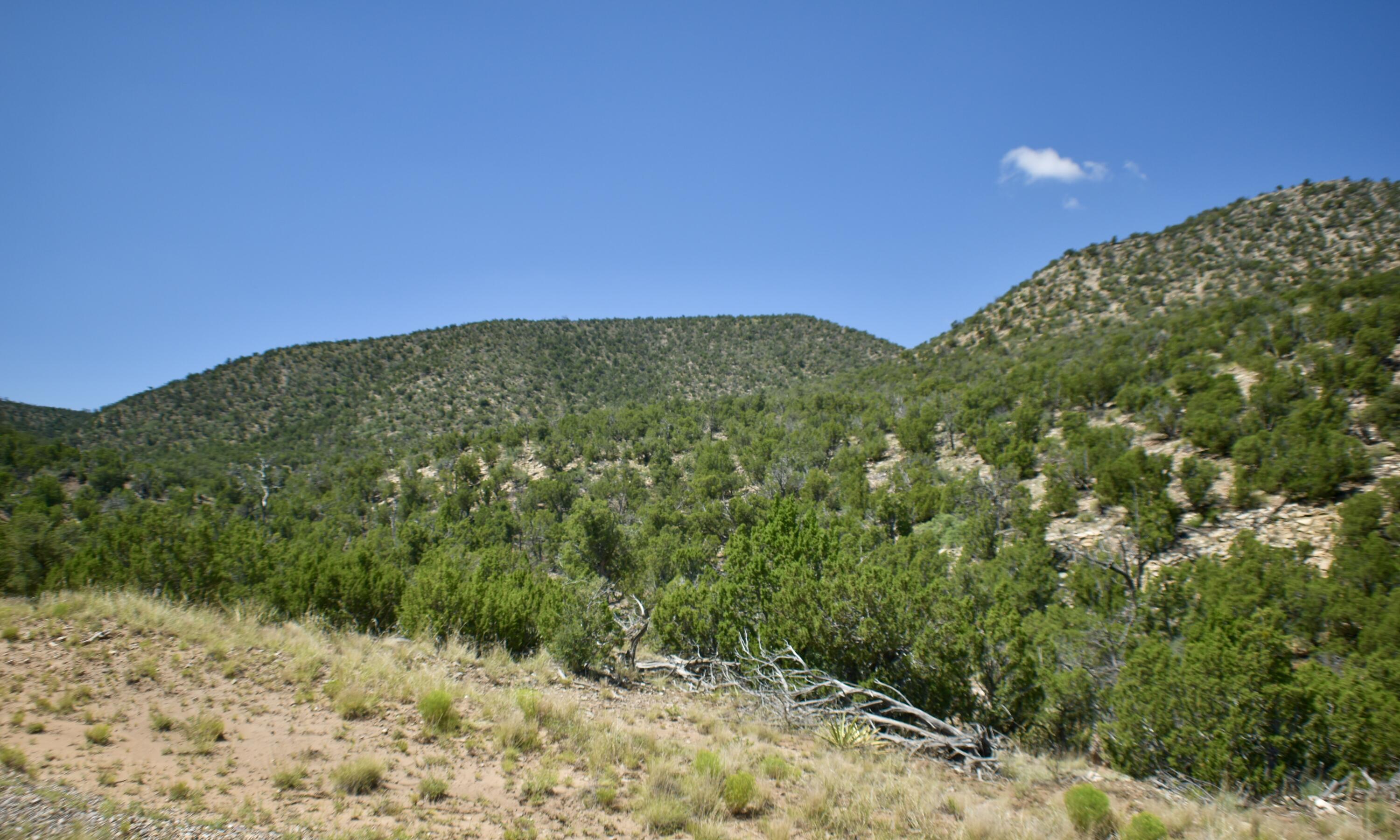 6 Chato Trail