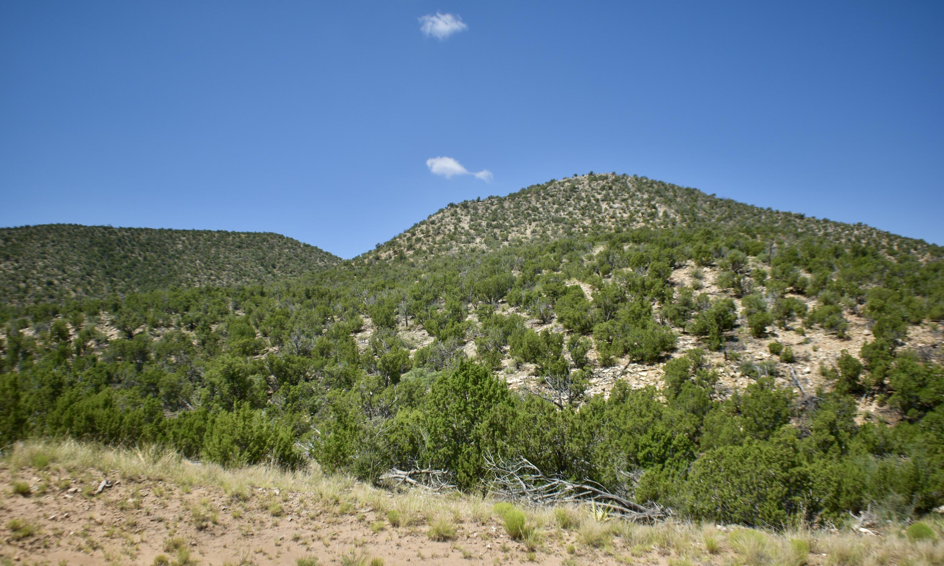 6 Chato Trail