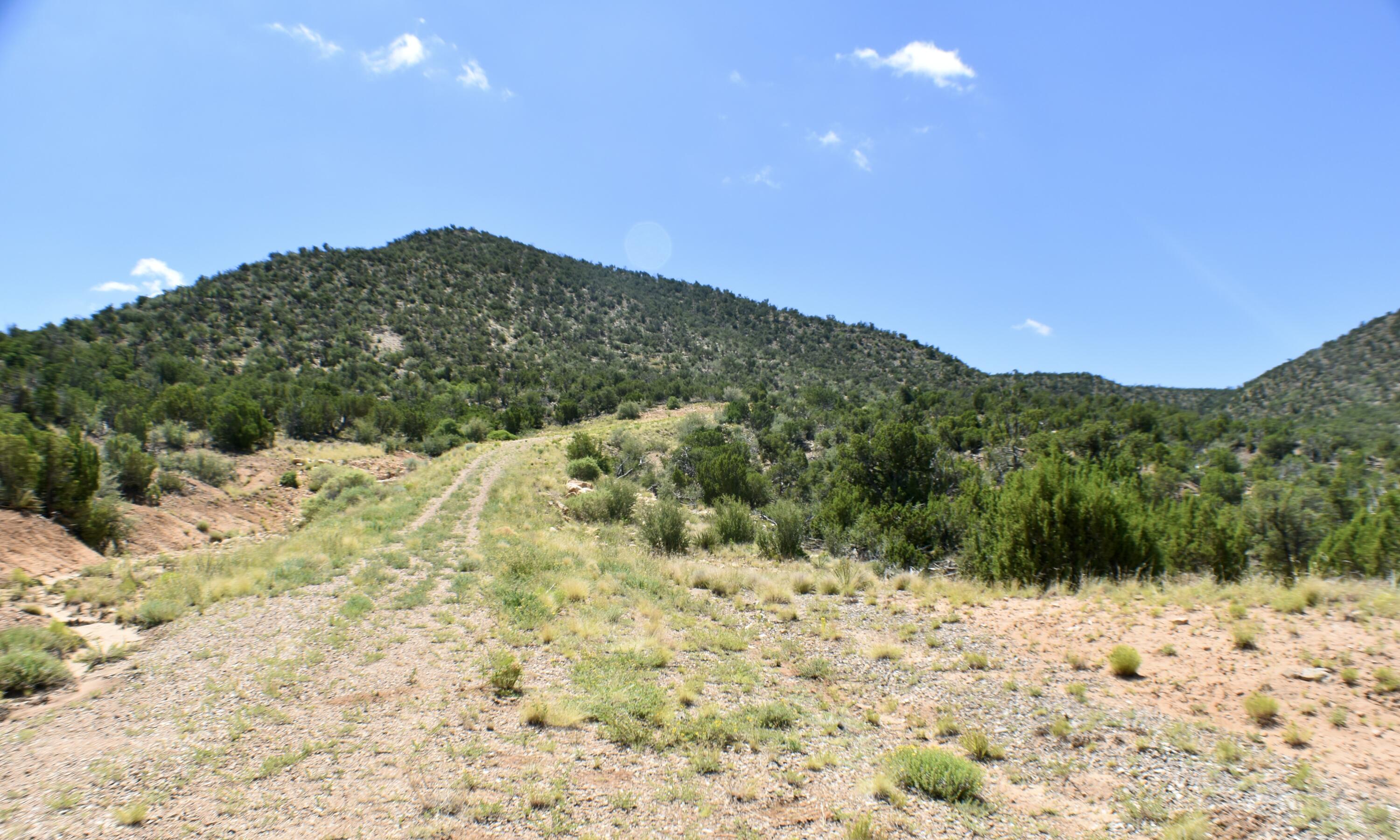 6 Chato Trail