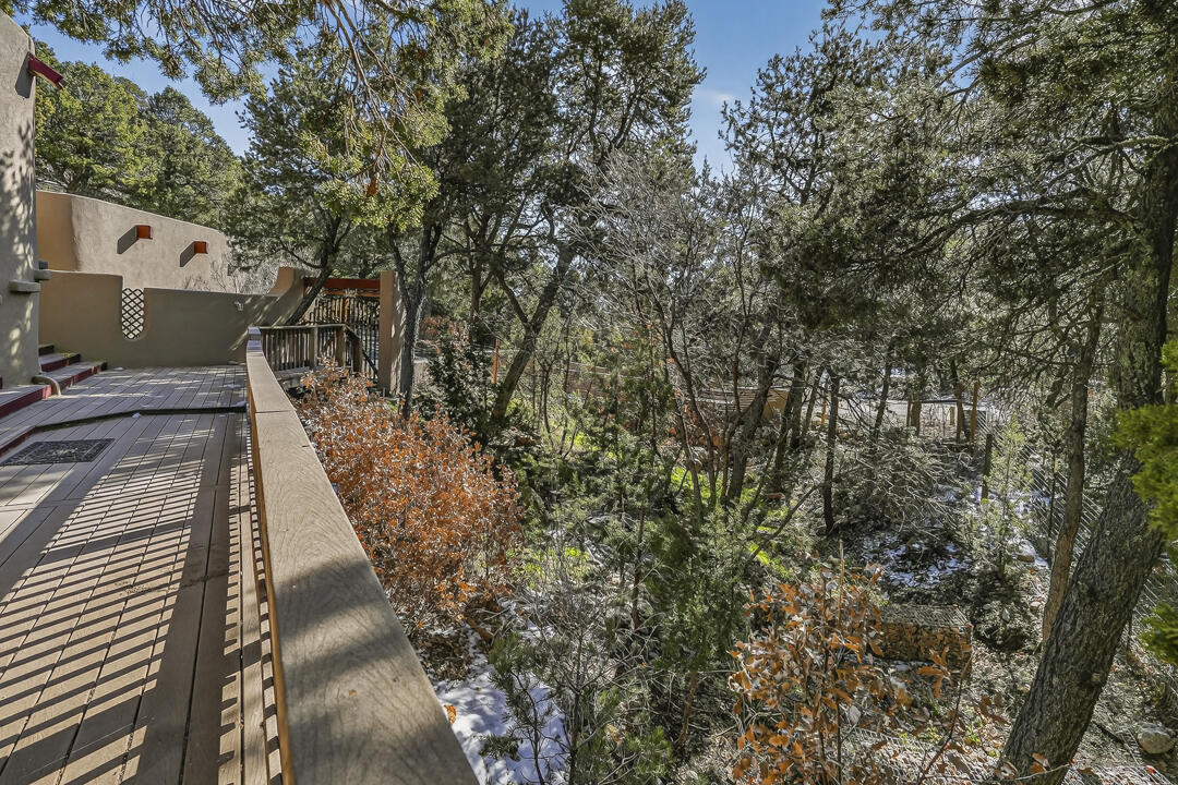 52 Forest Park Road