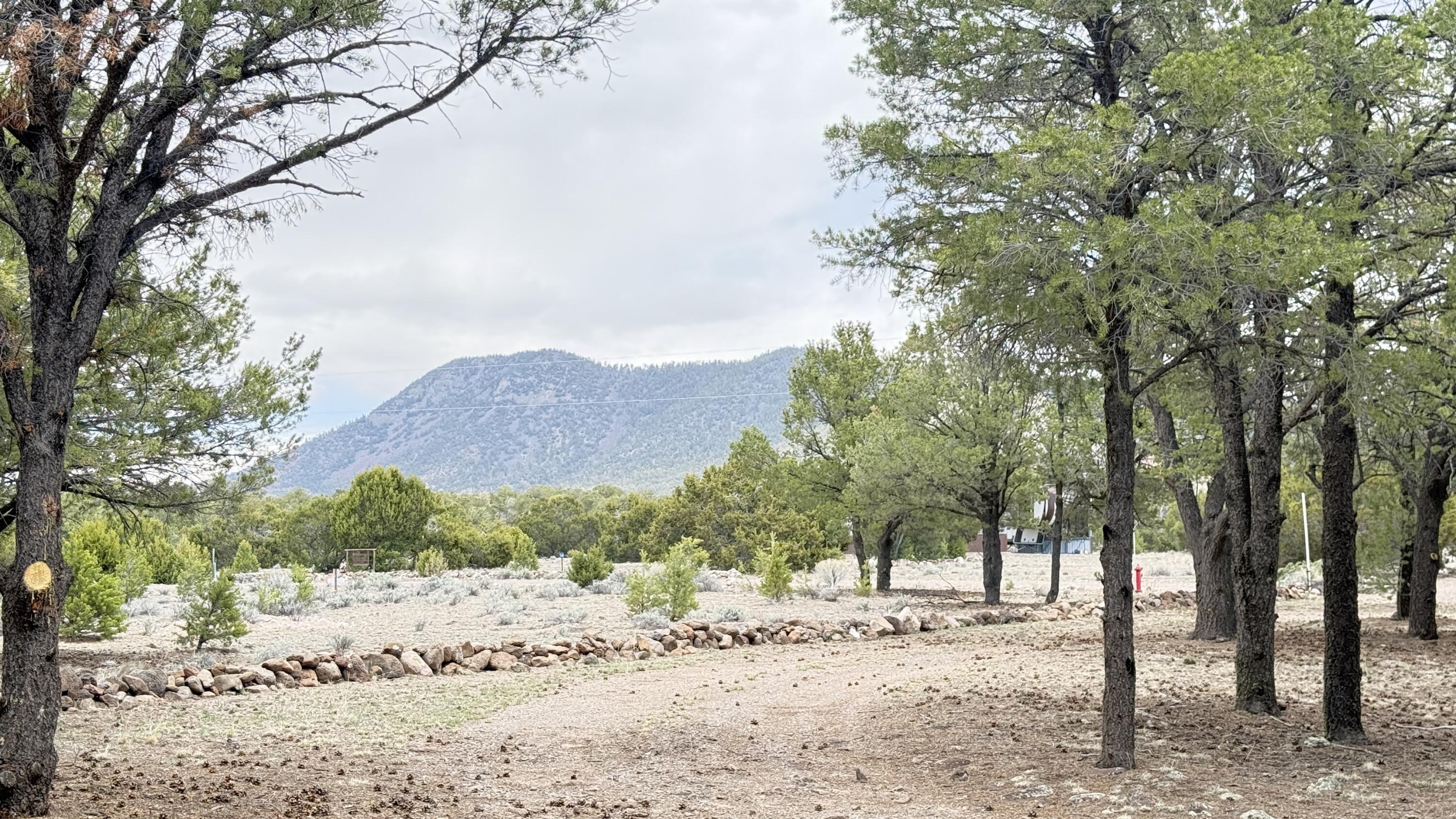 21 Branding Iron Road
