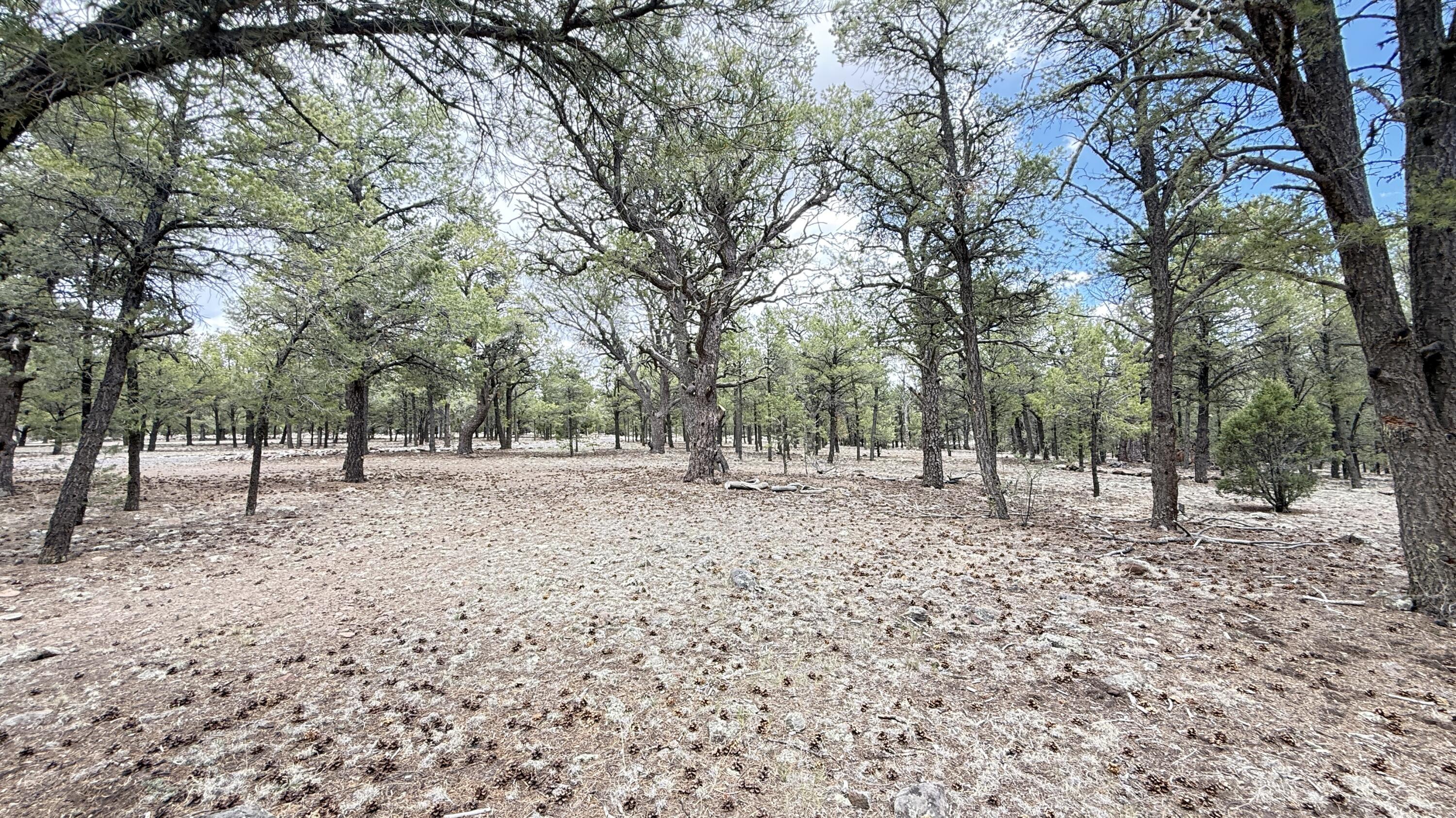 21 Branding Iron Road