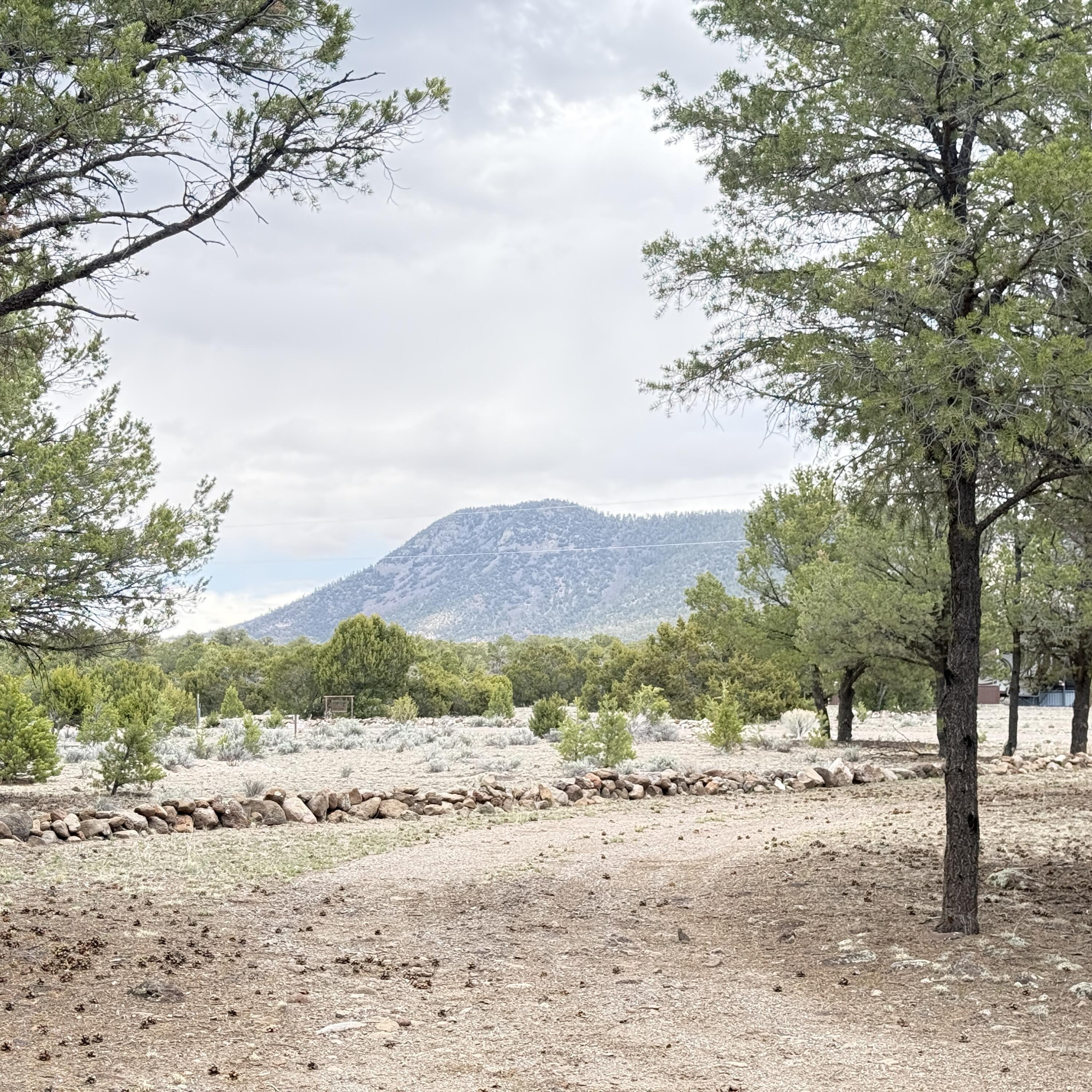 21 Branding Iron Road