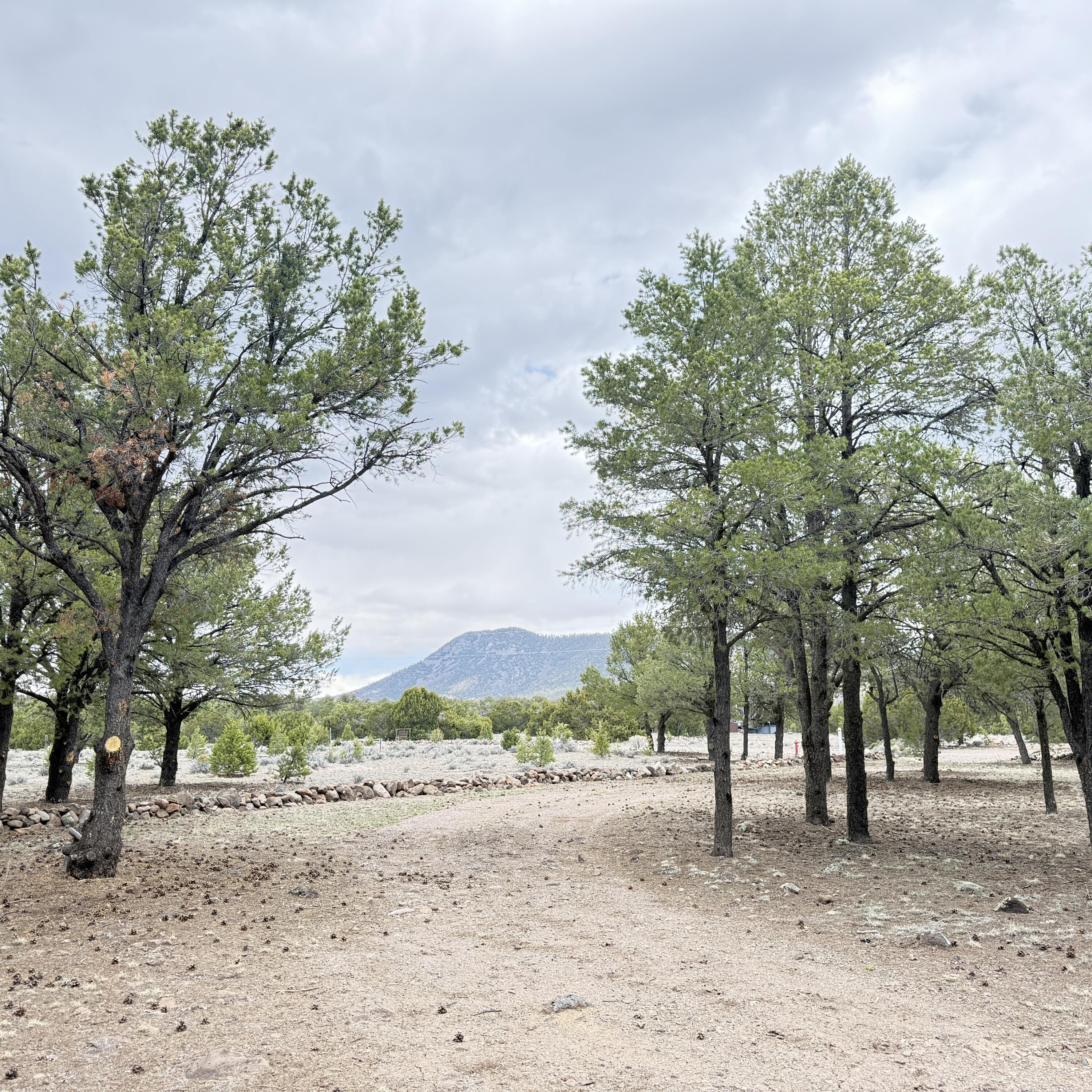 21 Branding Iron Road
