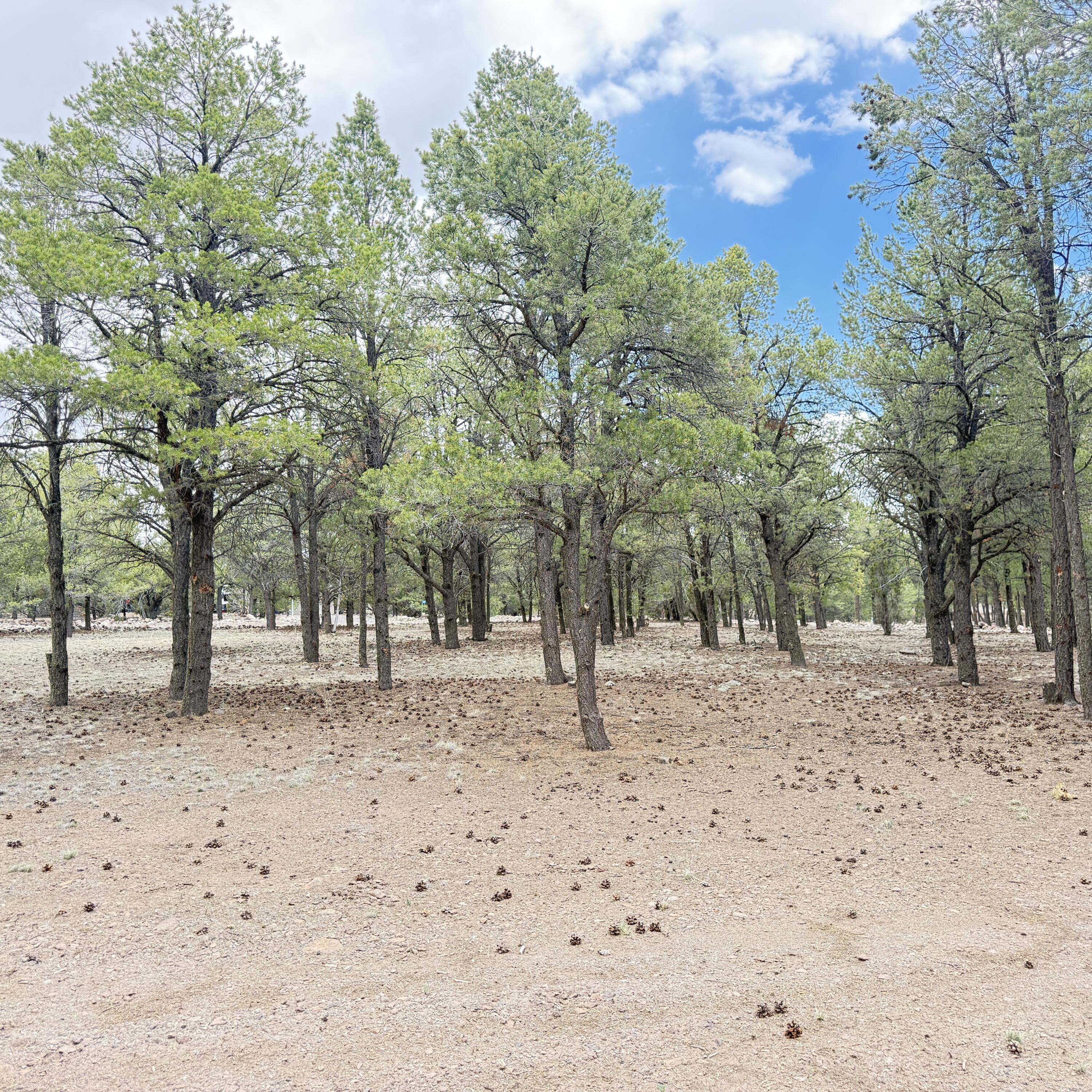 21 Branding Iron Road