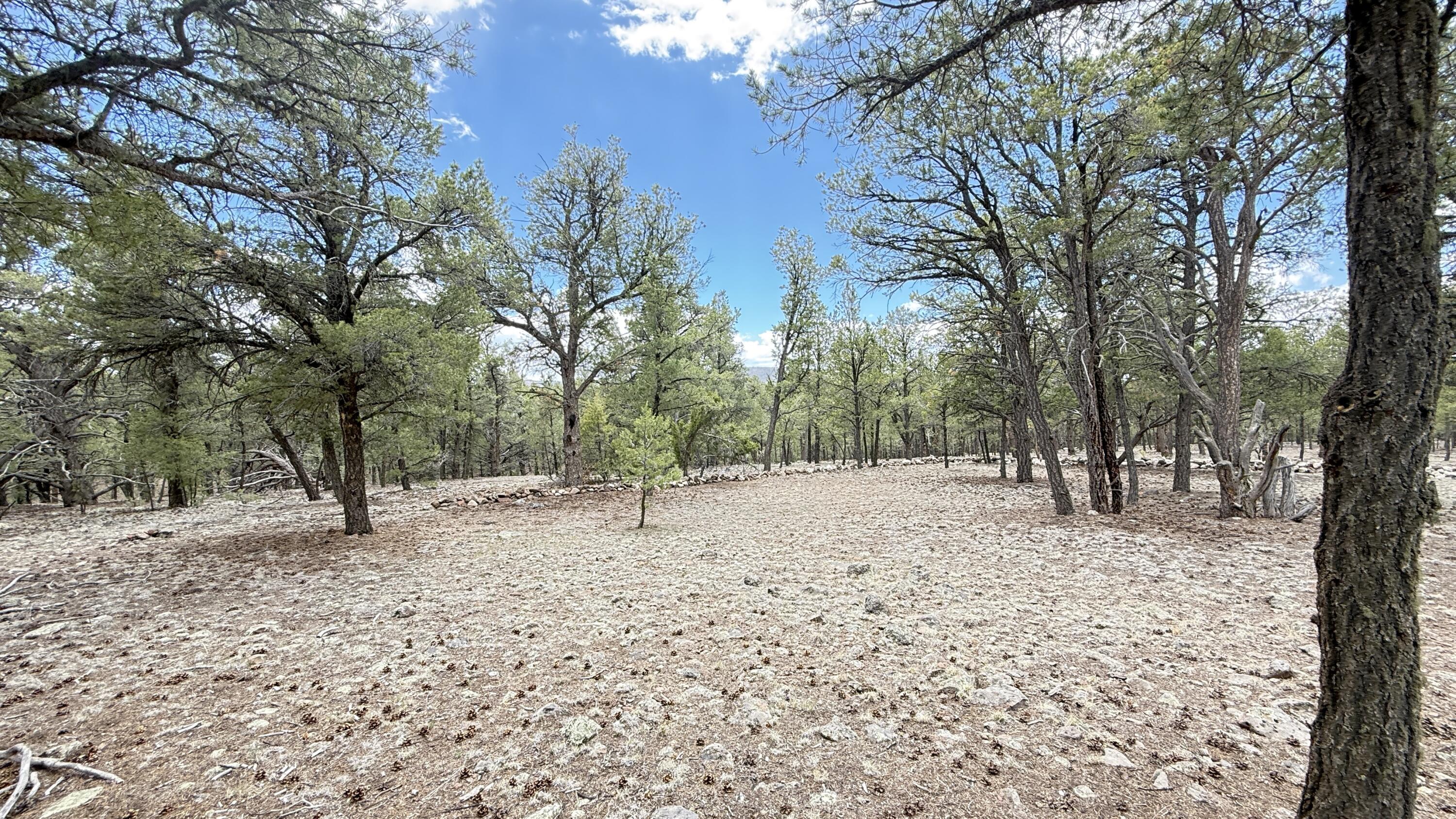 21 Branding Iron Road