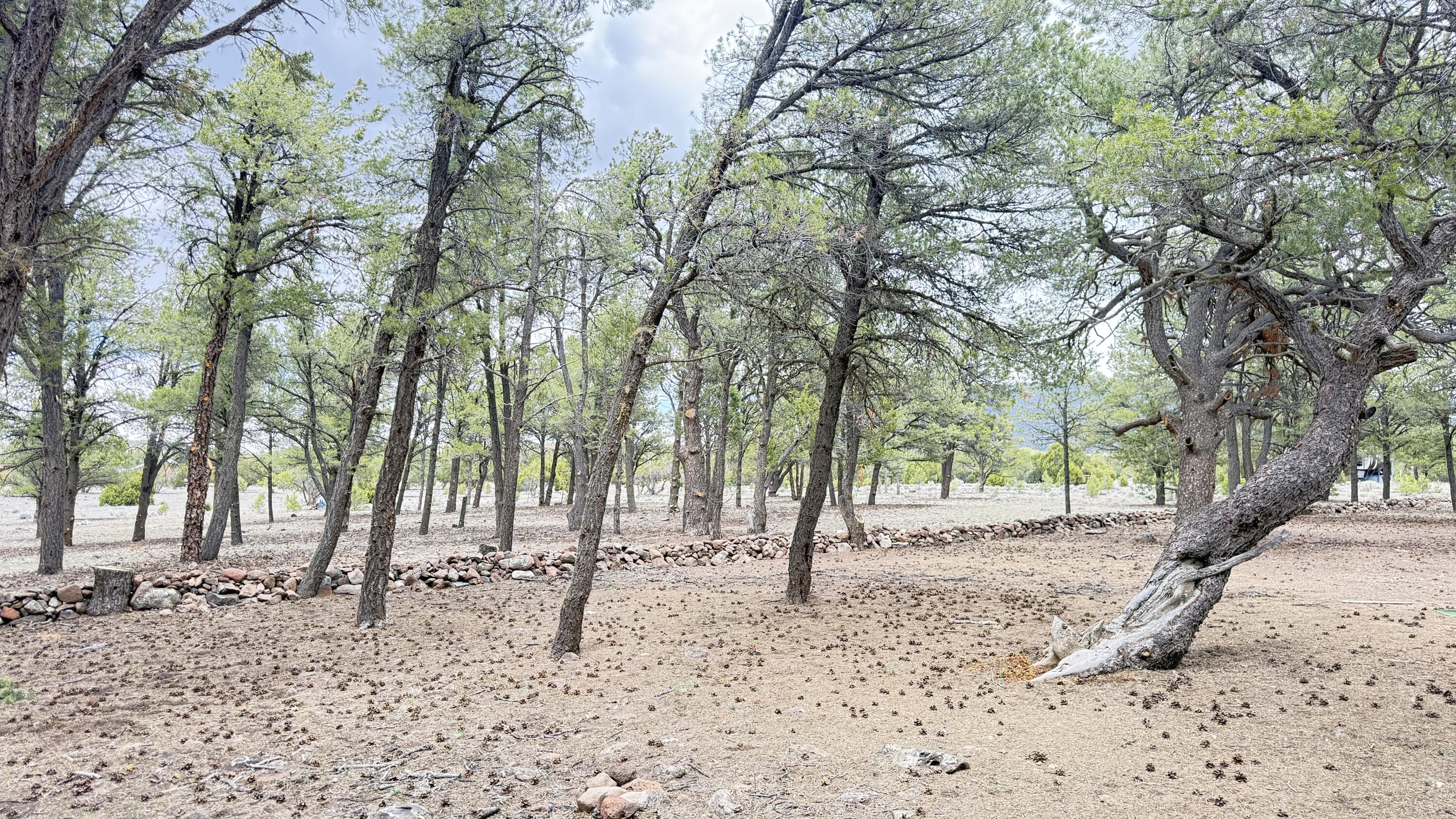 21 Branding Iron Road