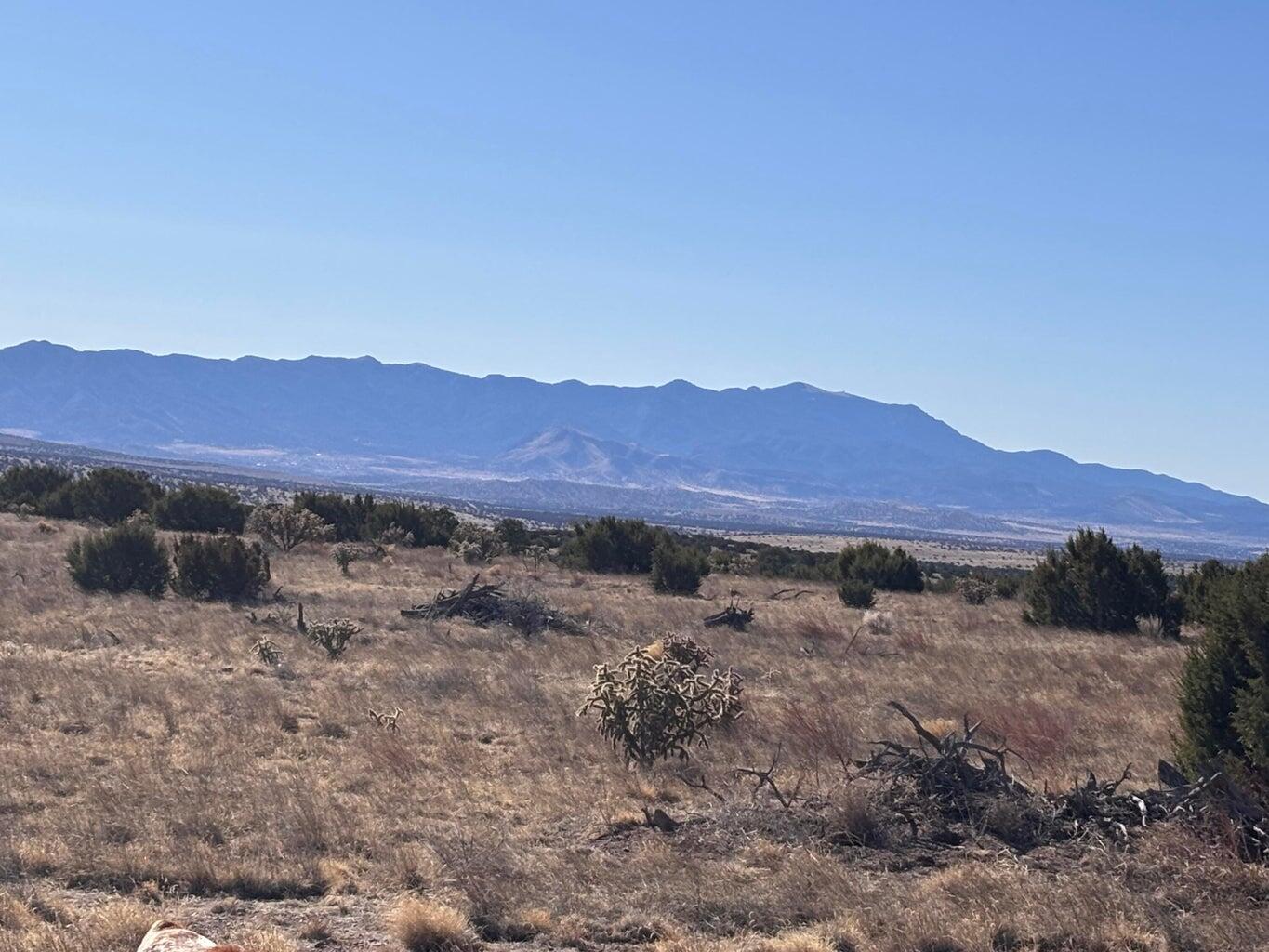 Lot 168 Pinon Springs