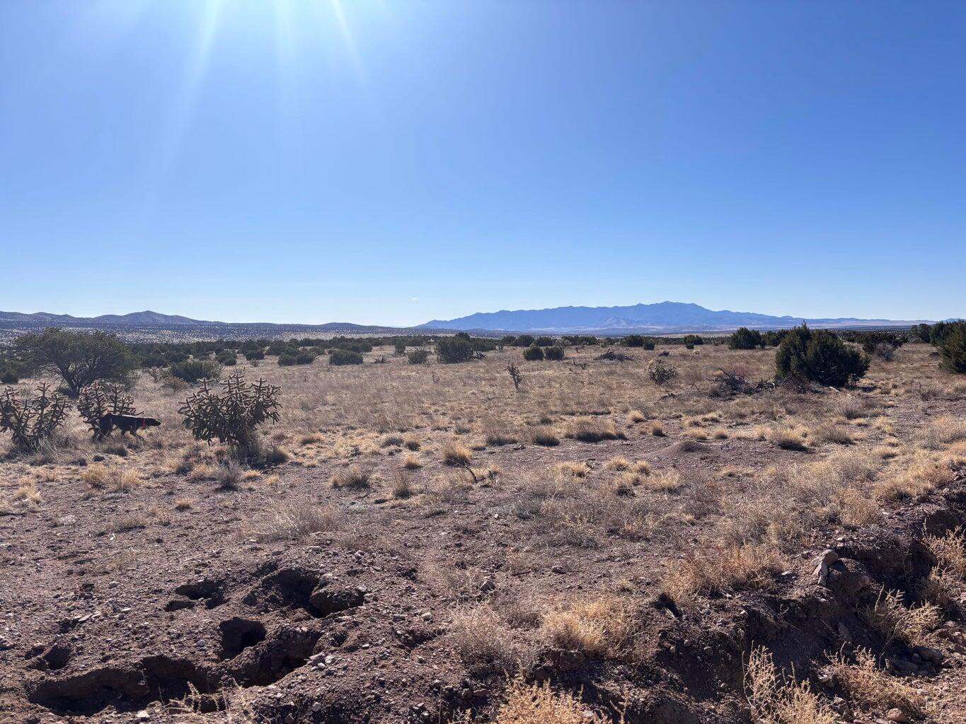 Lot 168 Pinon Springs