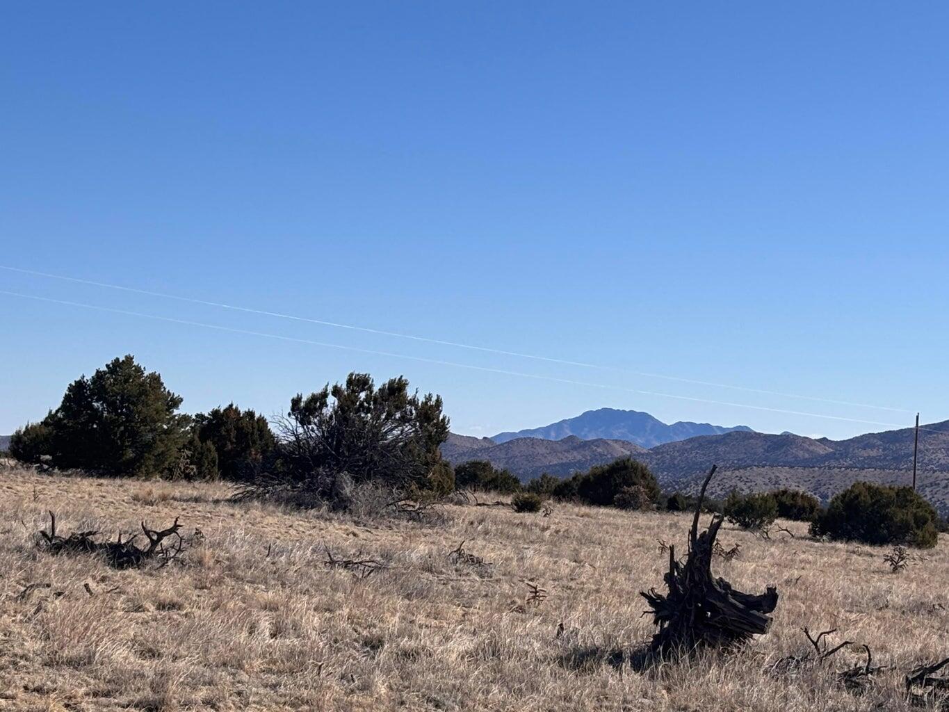 Lot 168 Pinon Springs