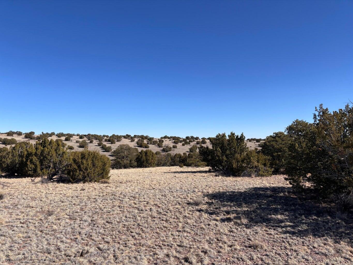 Lot 174 Pinon Springs