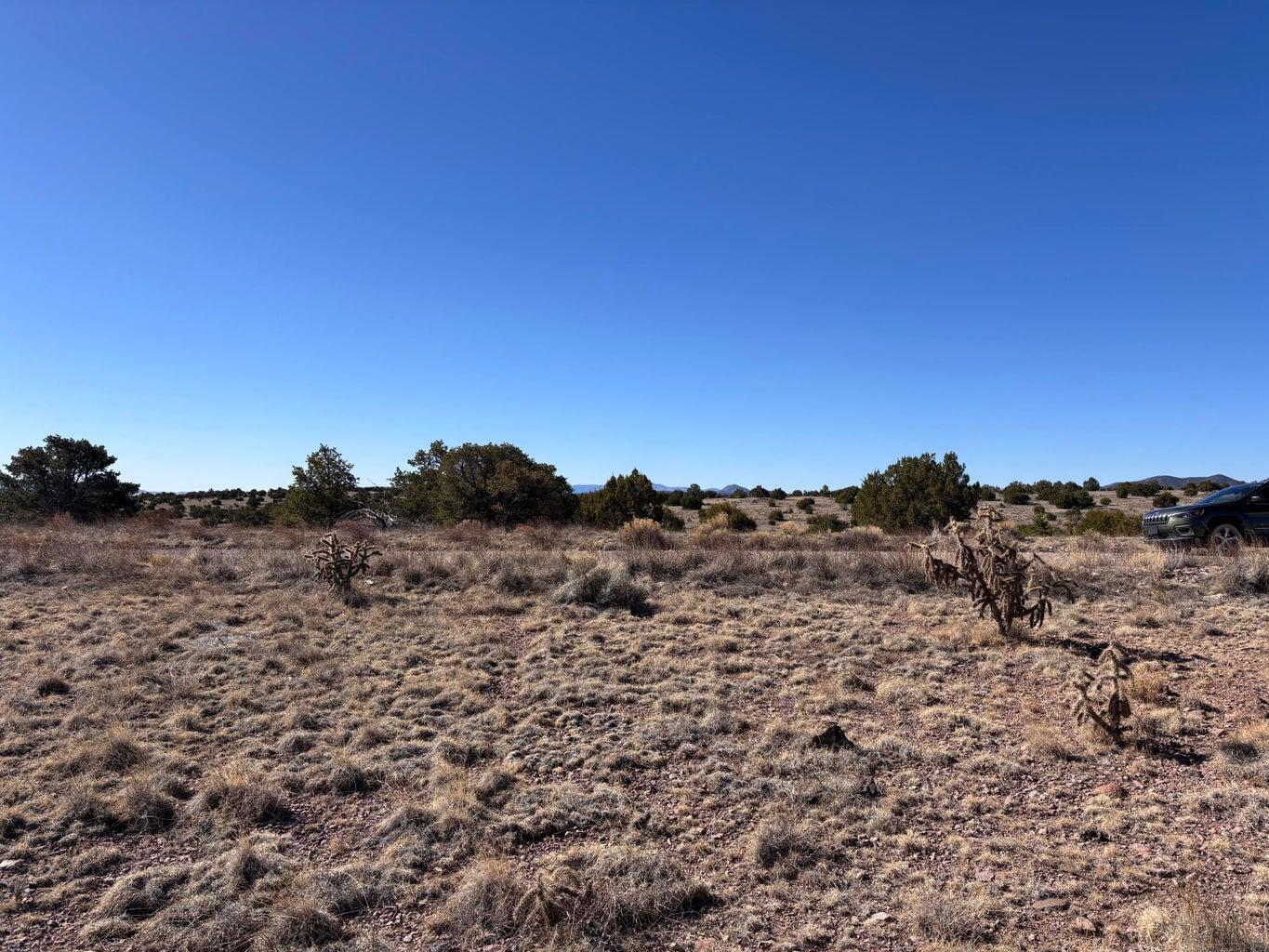 Lot 174 Pinon Springs