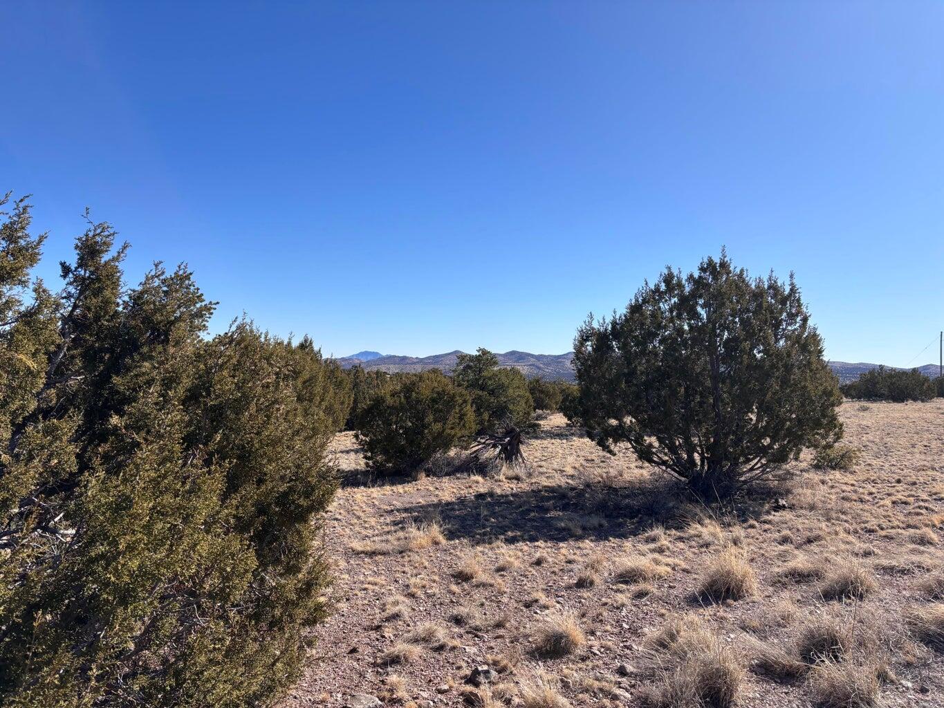 Lot 174 Pinon Springs