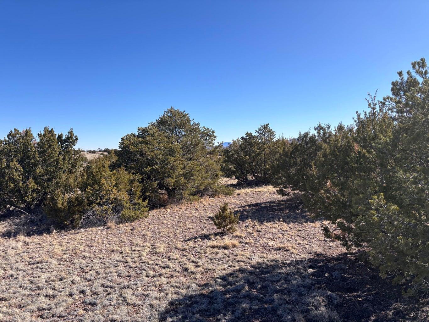 Lot 174 Pinon Springs