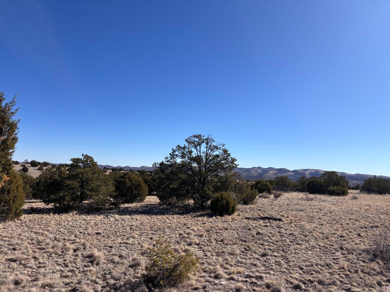 Lot 174 Pinon Springs