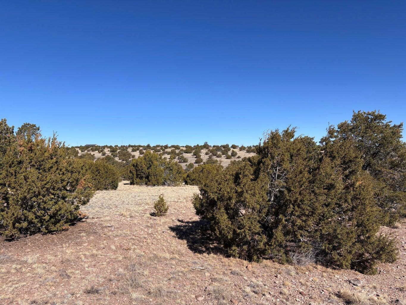 Lot 174 Pinon Springs