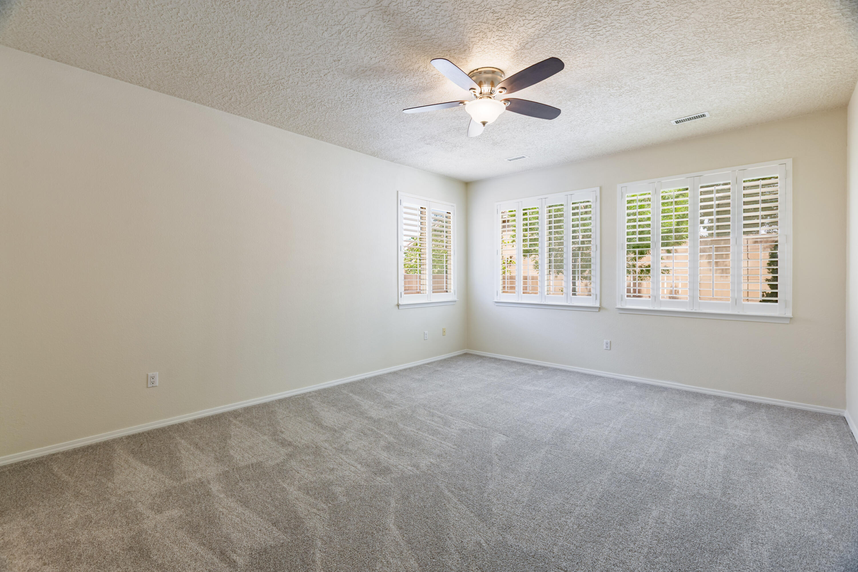 921 Purple Aster Drive