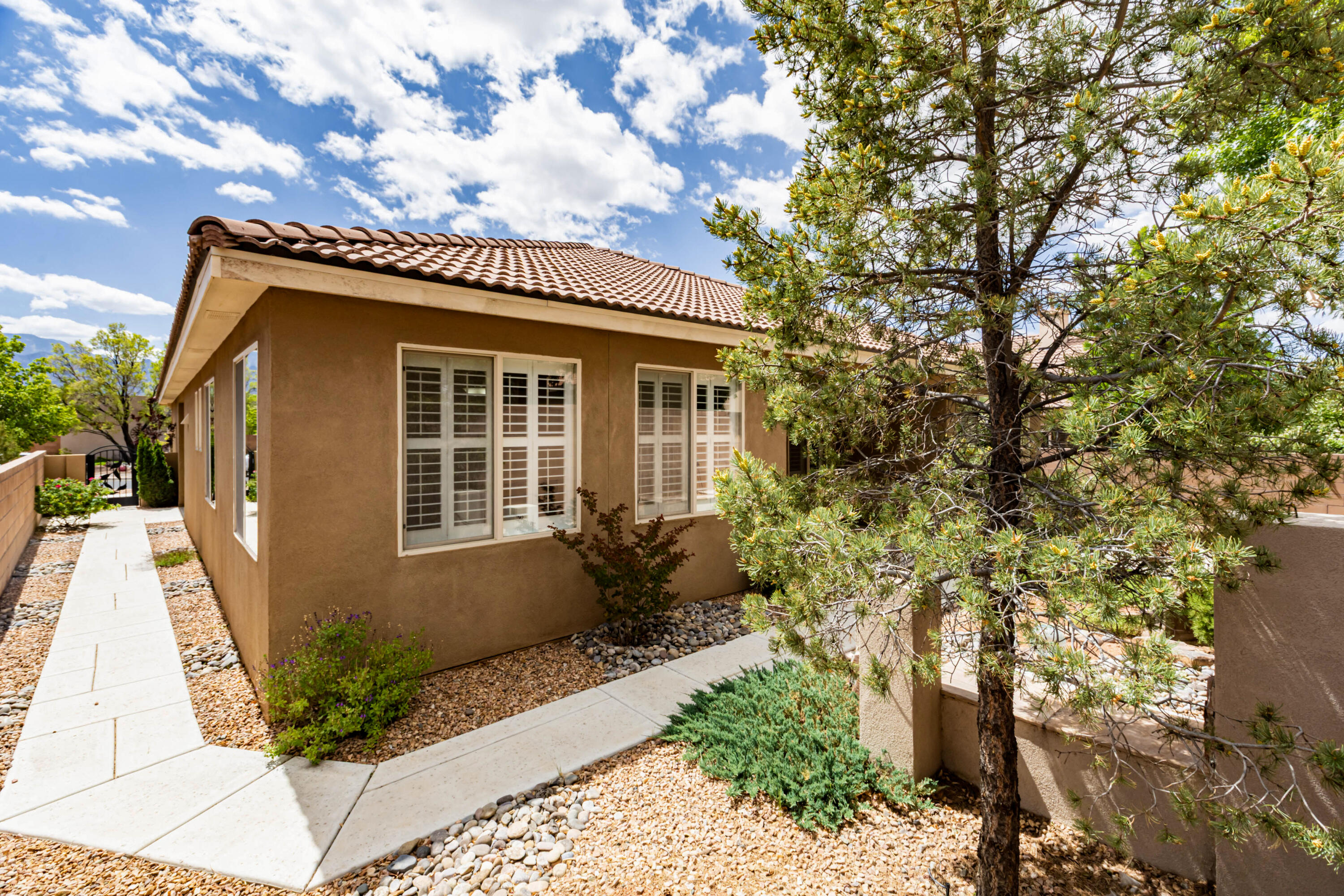 921 Purple Aster Drive
