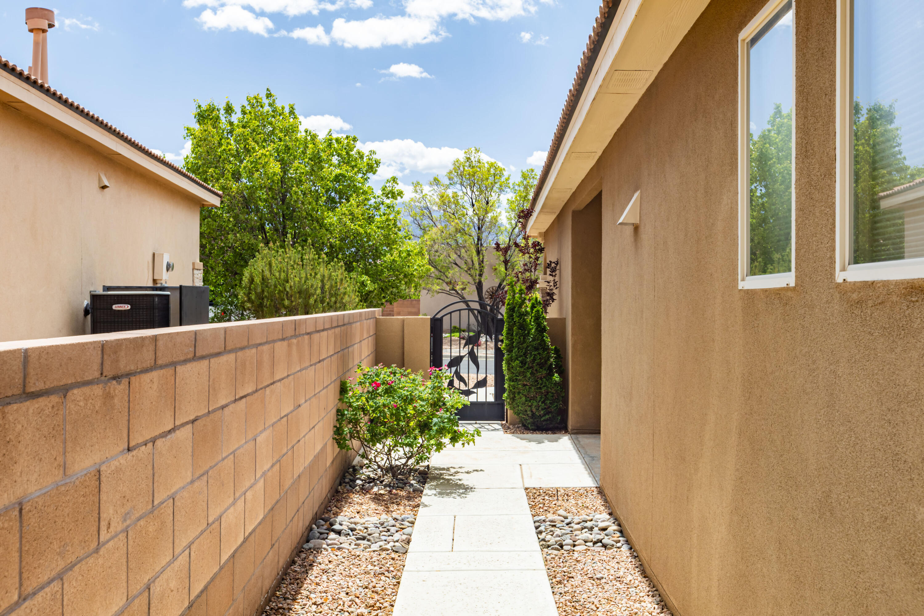 921 Purple Aster Drive