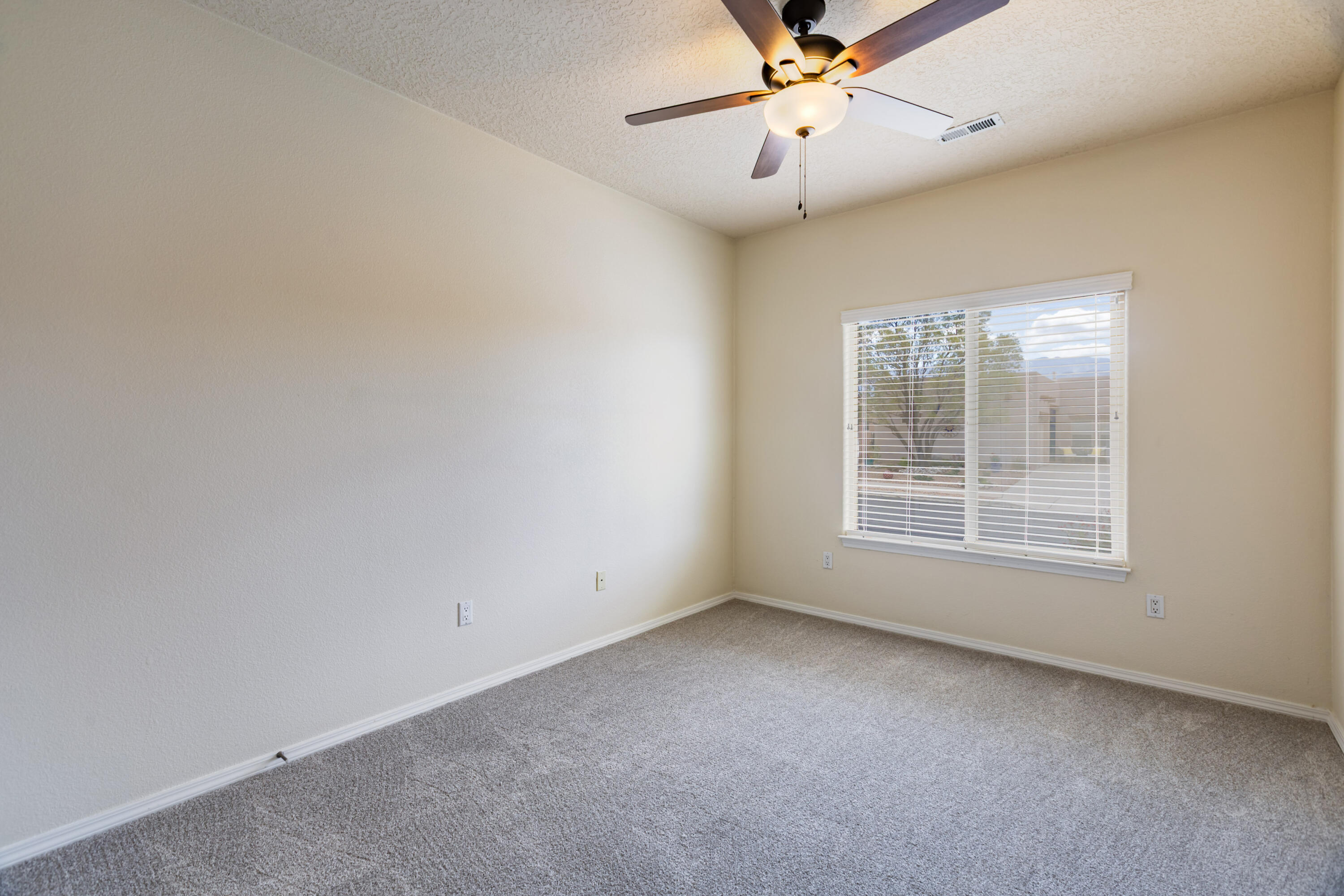 921 Purple Aster Drive