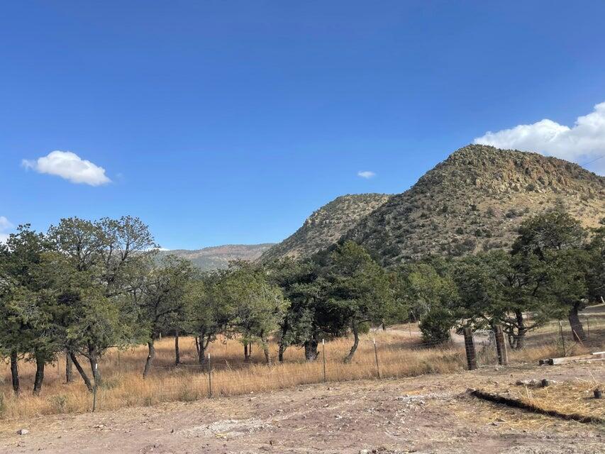 175 Hop Canyon Road