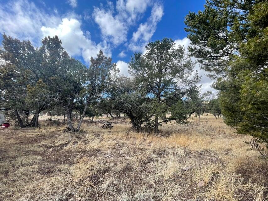 175 Hop Canyon Road