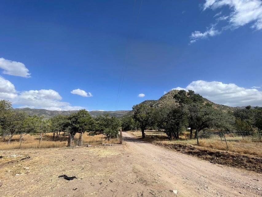 175 Hop Canyon Road