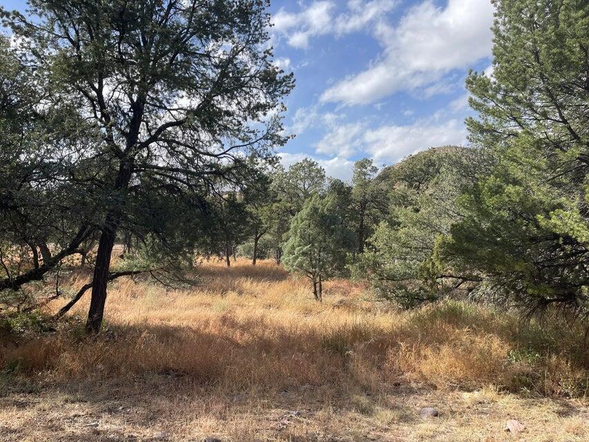 175 Hop Canyon Road
