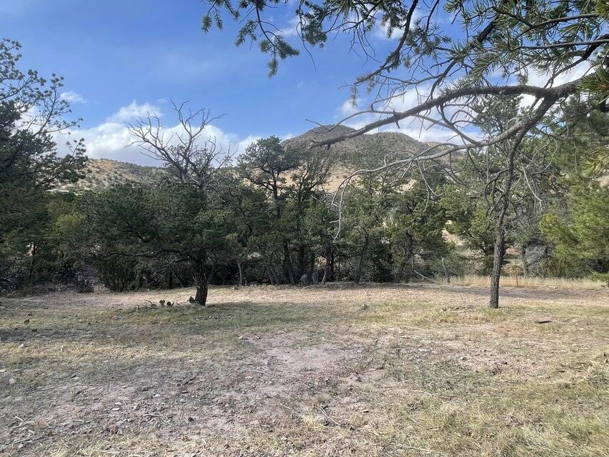 175 Hop Canyon Road