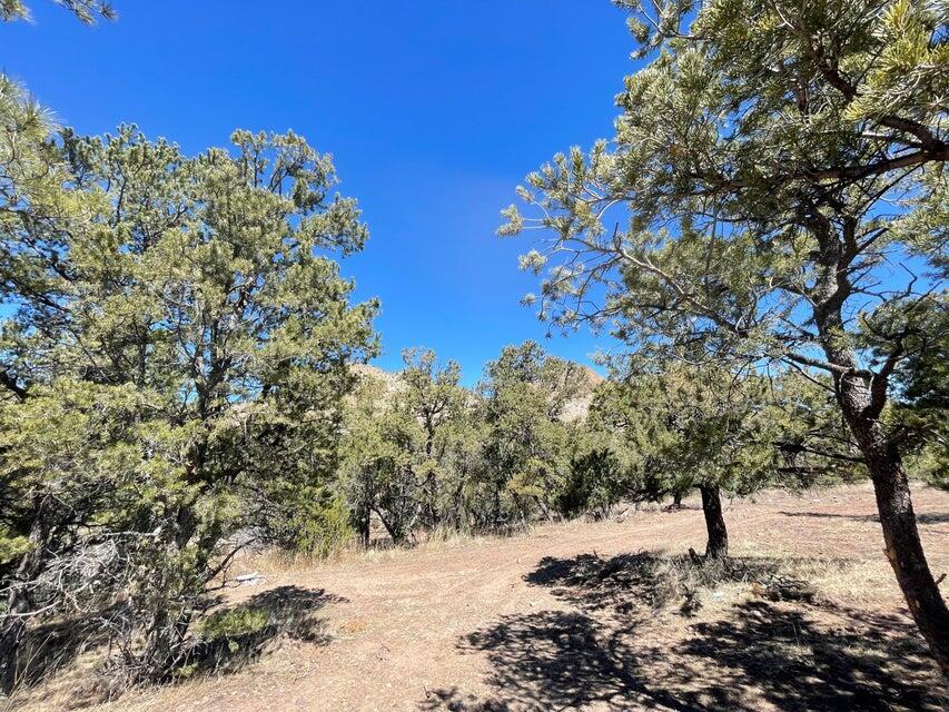 175 Hop Canyon Road