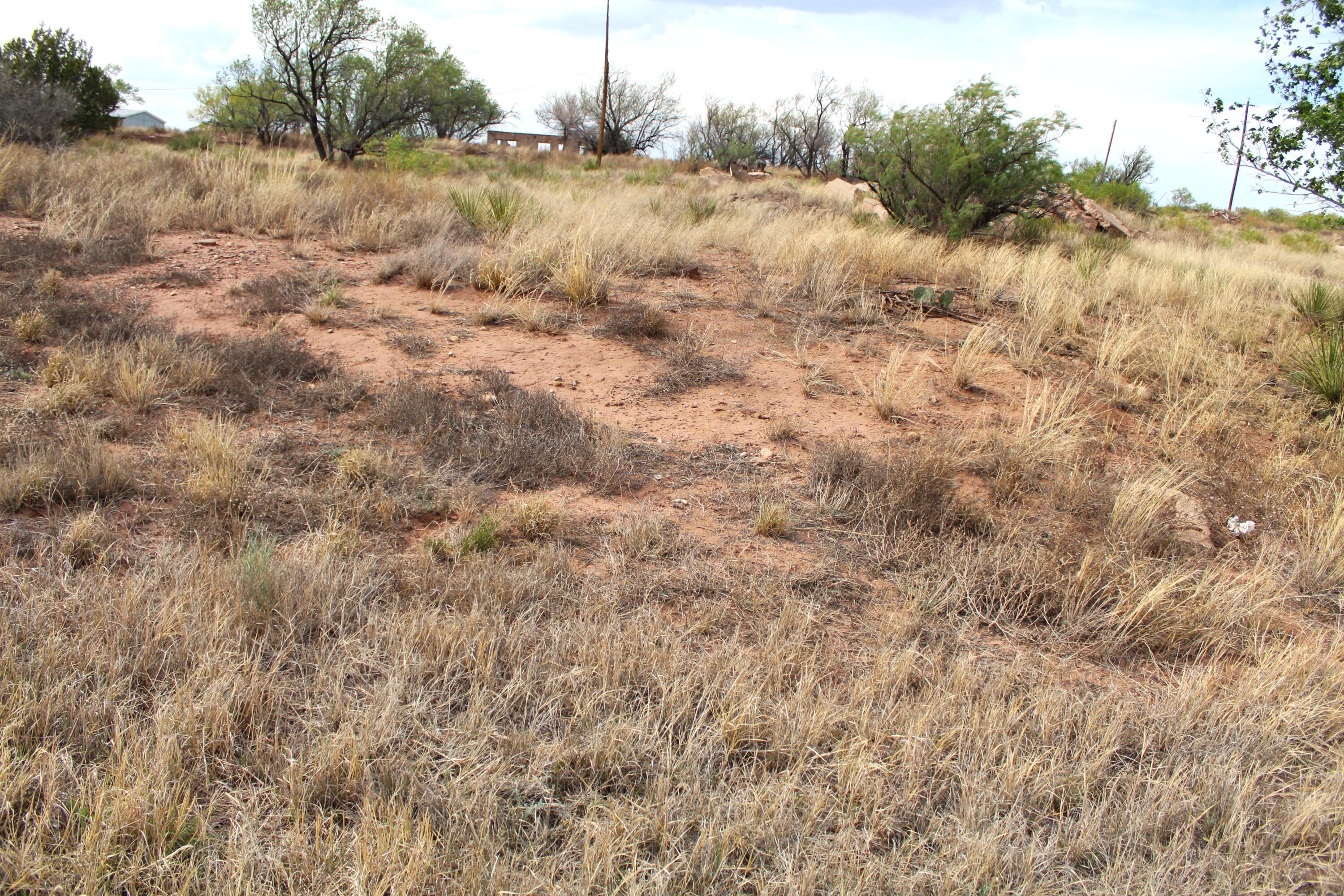 7607 New Mexico 104