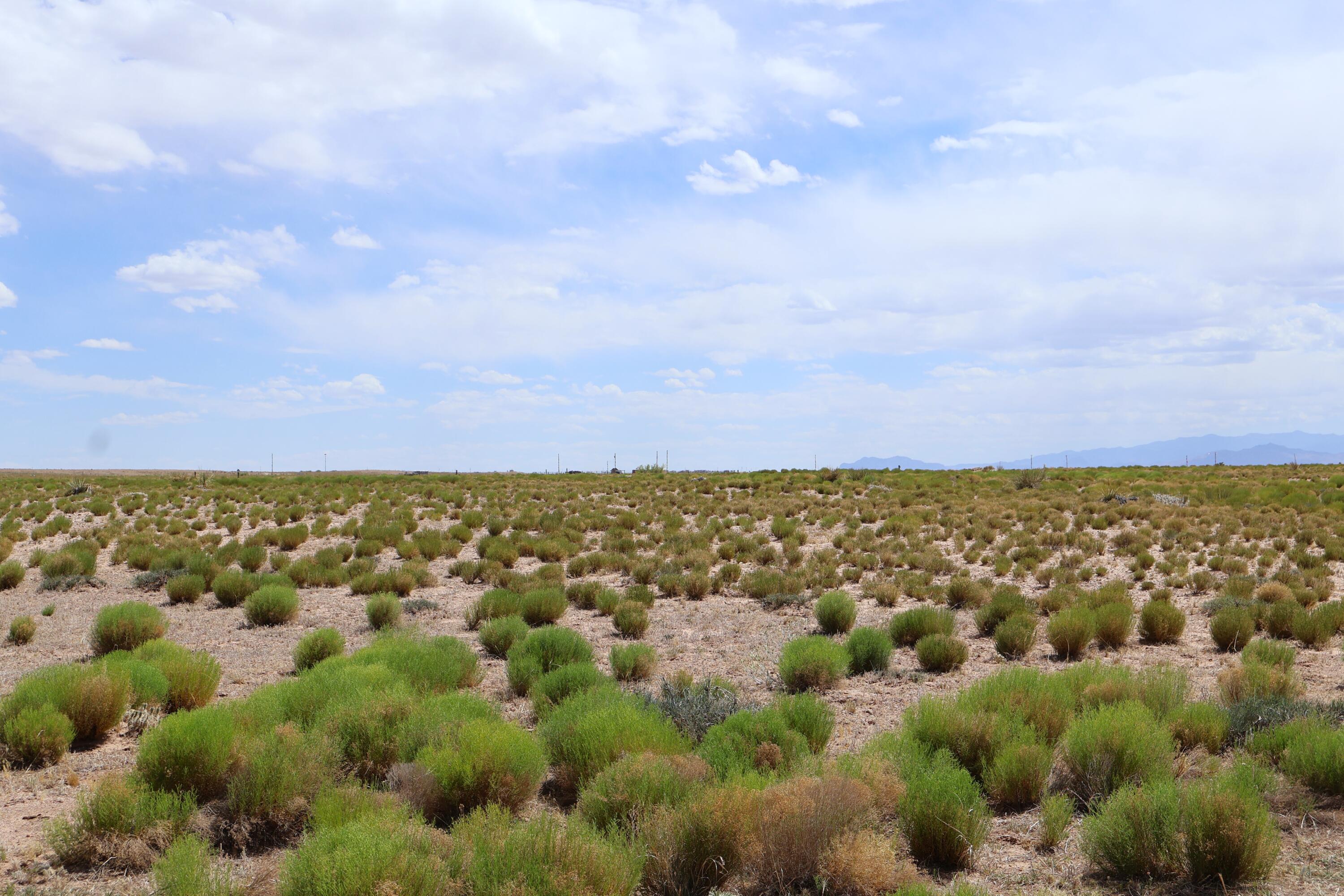 Lot 7 & 8 Rio Grande Estates