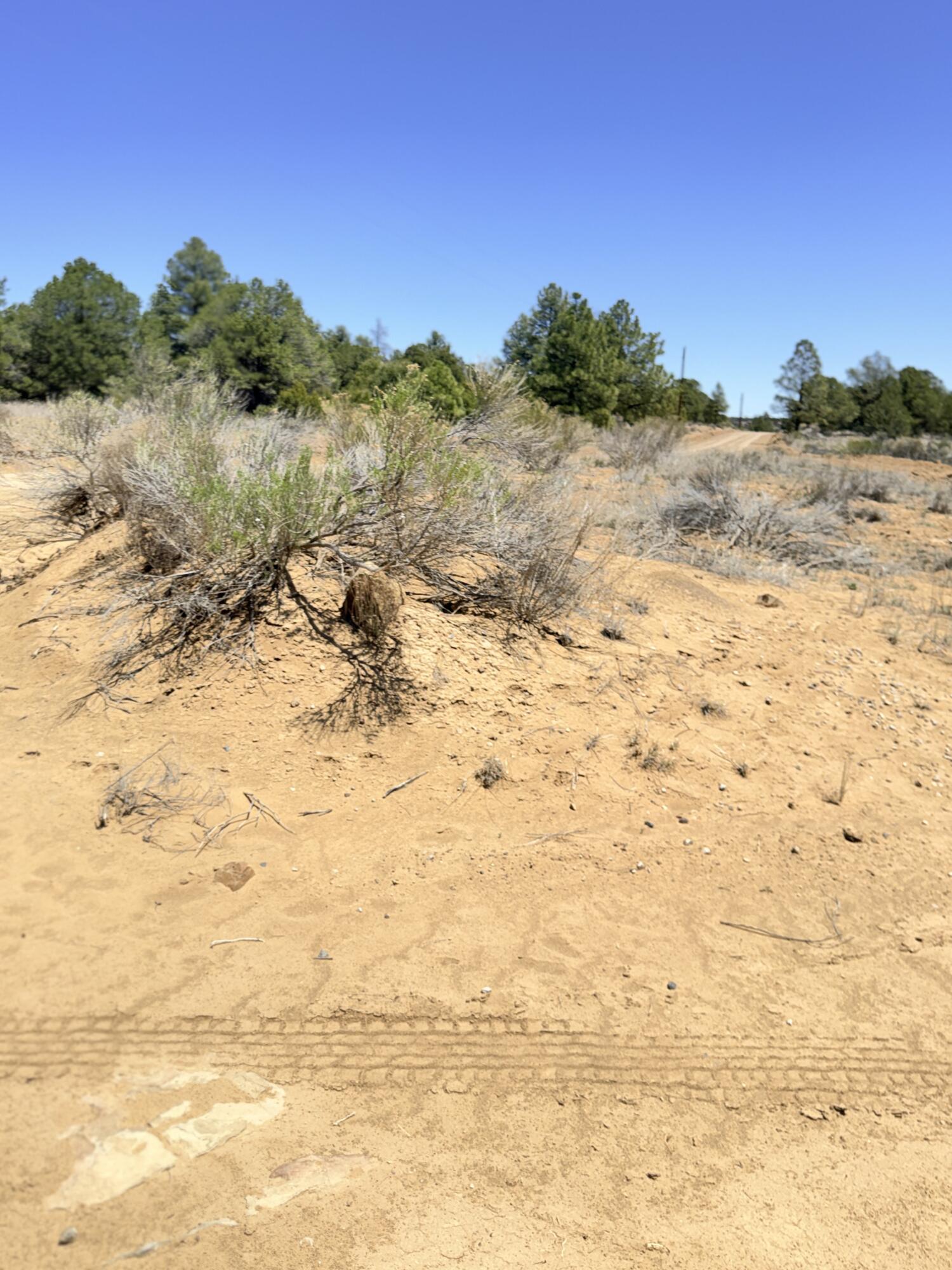 994 Wild Horse Ranch Road