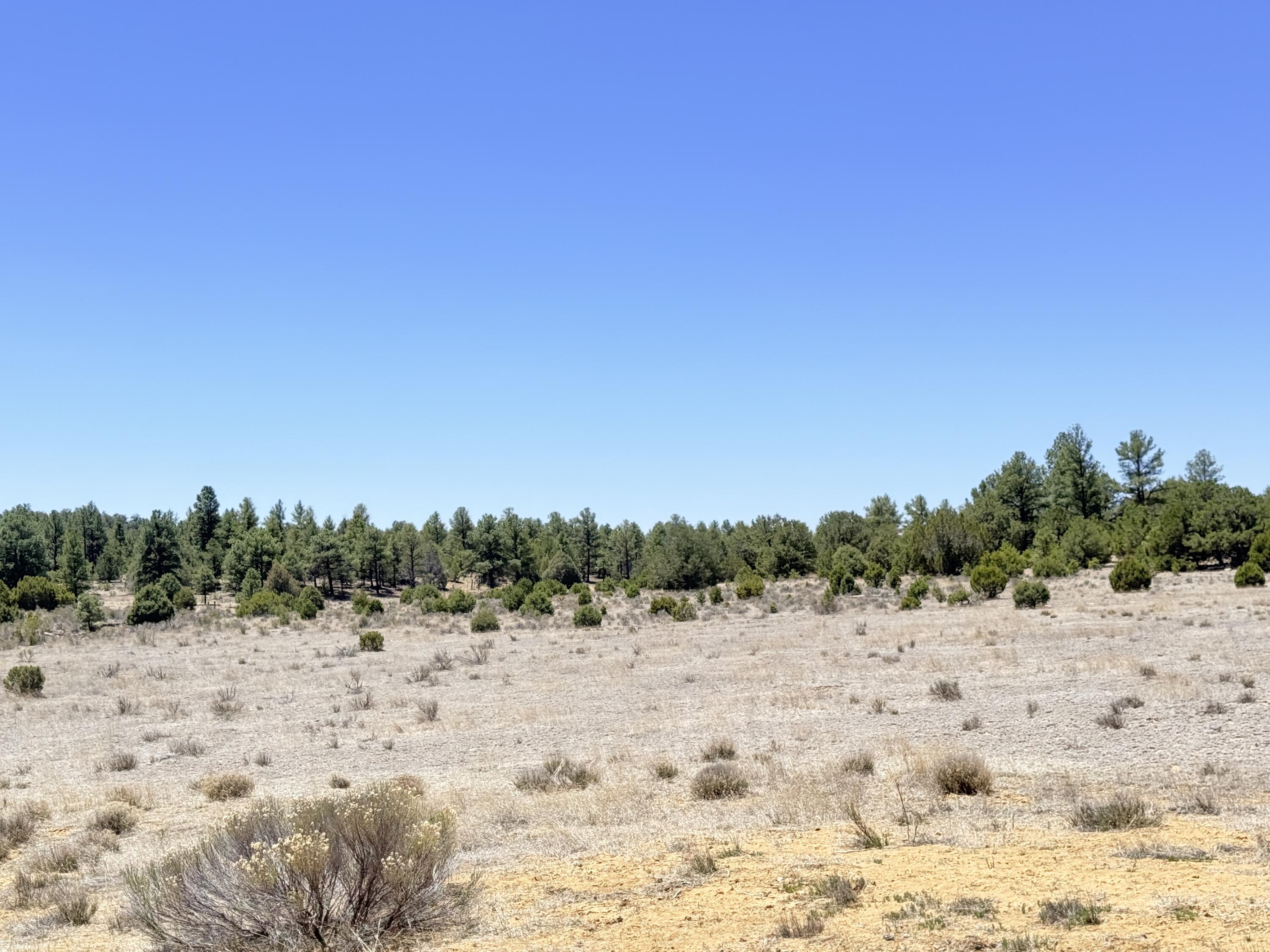 994 Wild Horse Ranch Road
