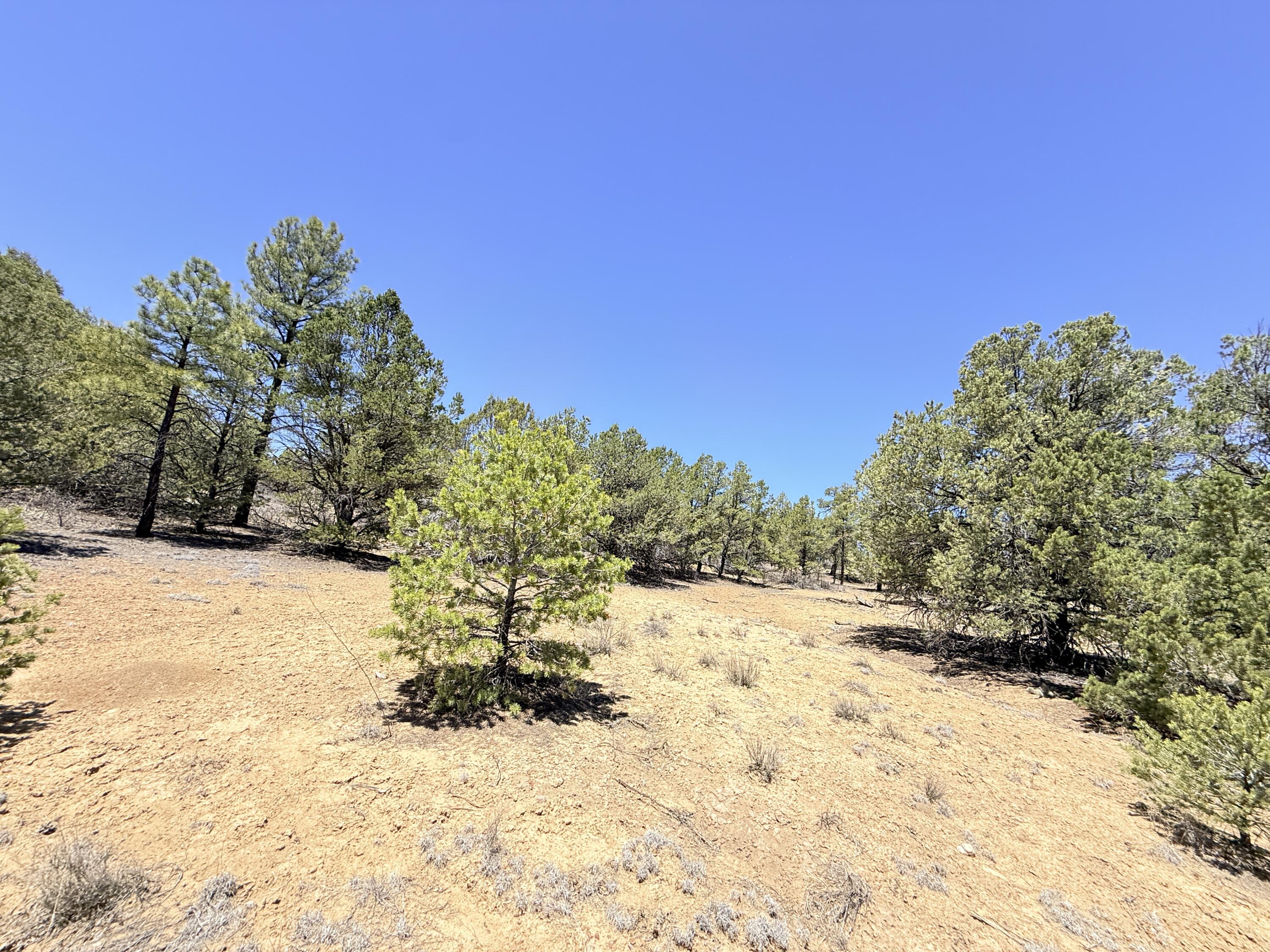 994 Wild Horse Ranch Road