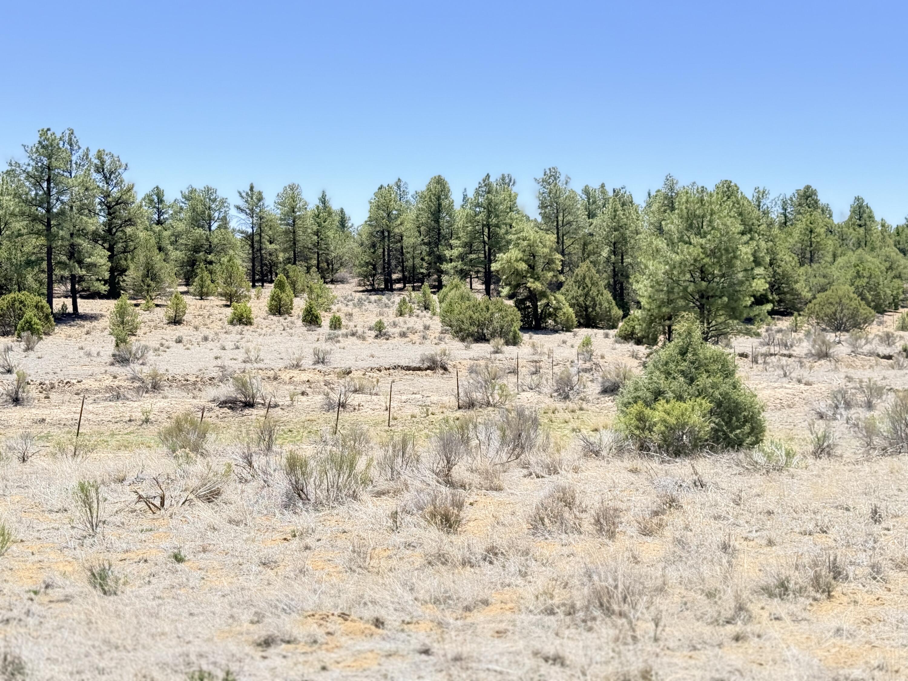 994 Wild Horse Ranch Road