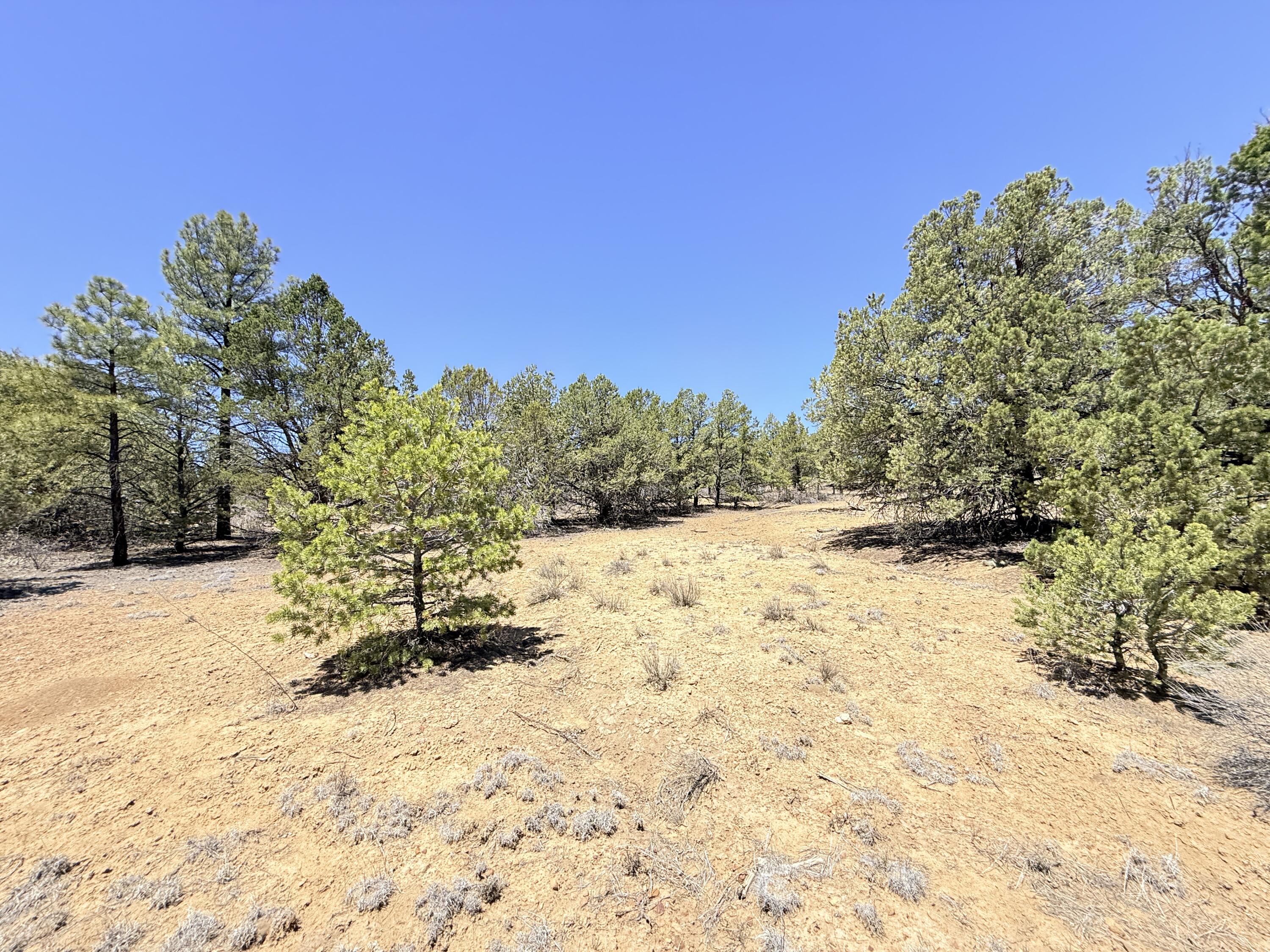 994 Wild Horse Ranch Road