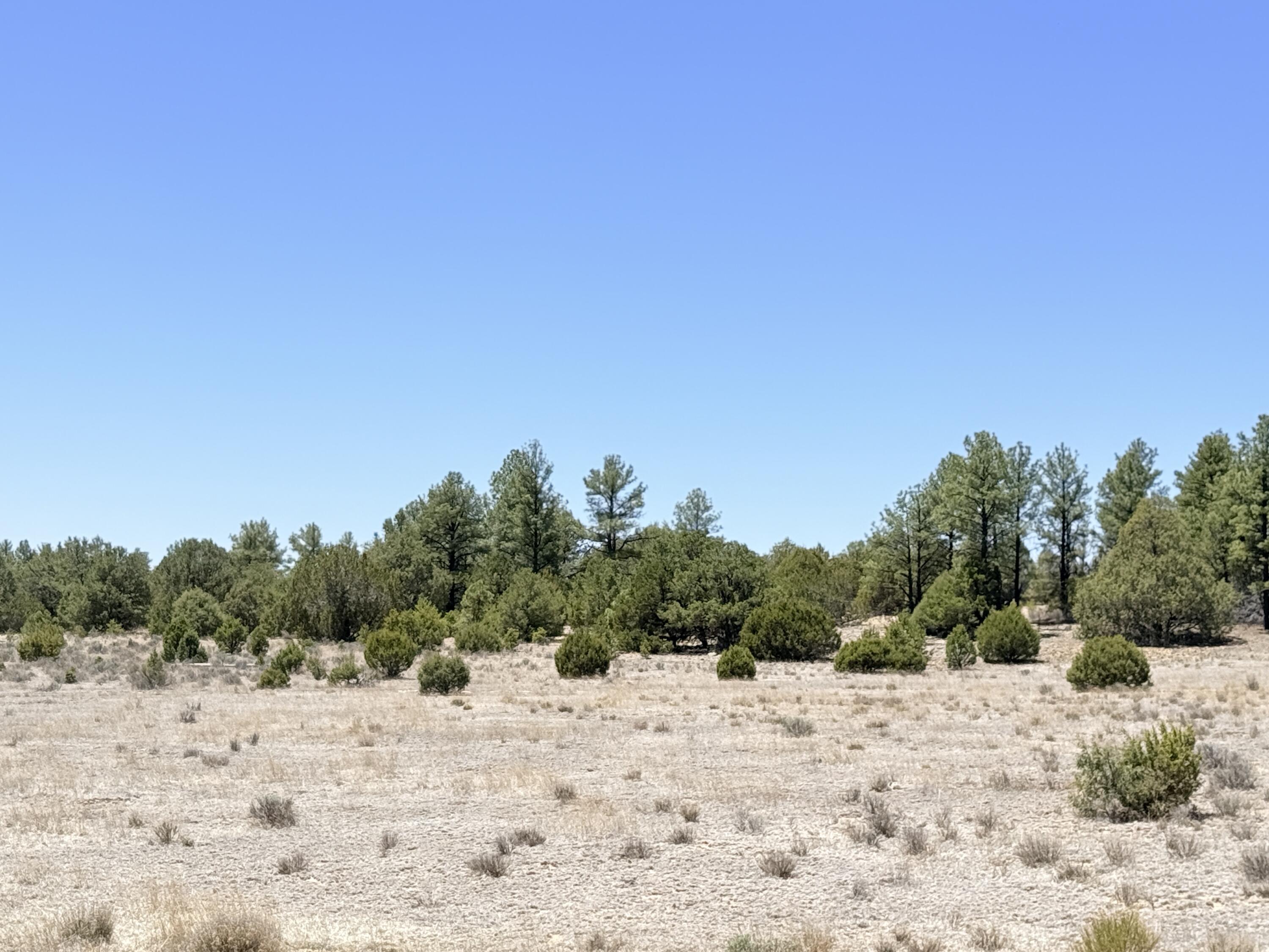 994 Wild Horse Ranch Road