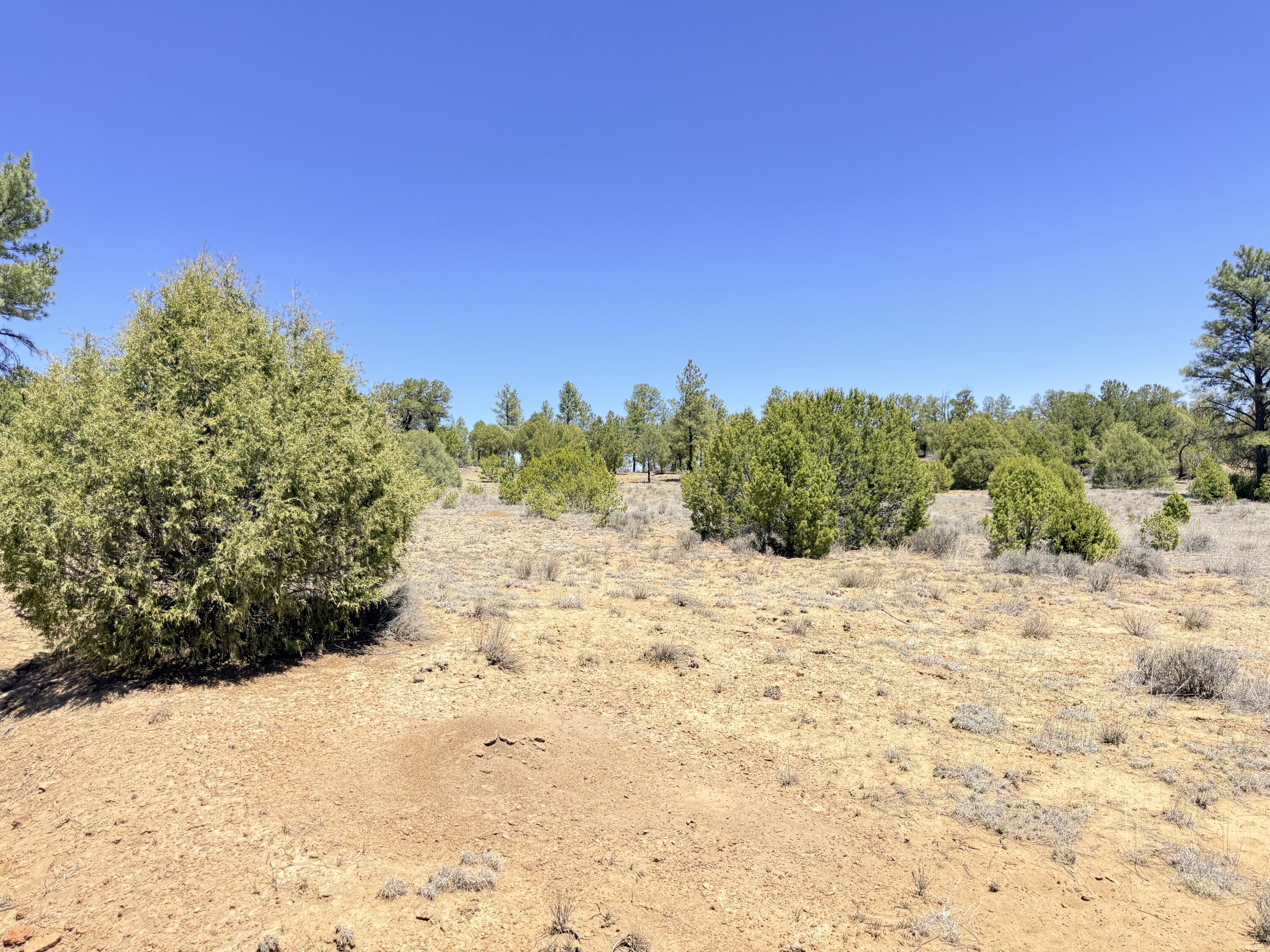994 Wild Horse Ranch Road
