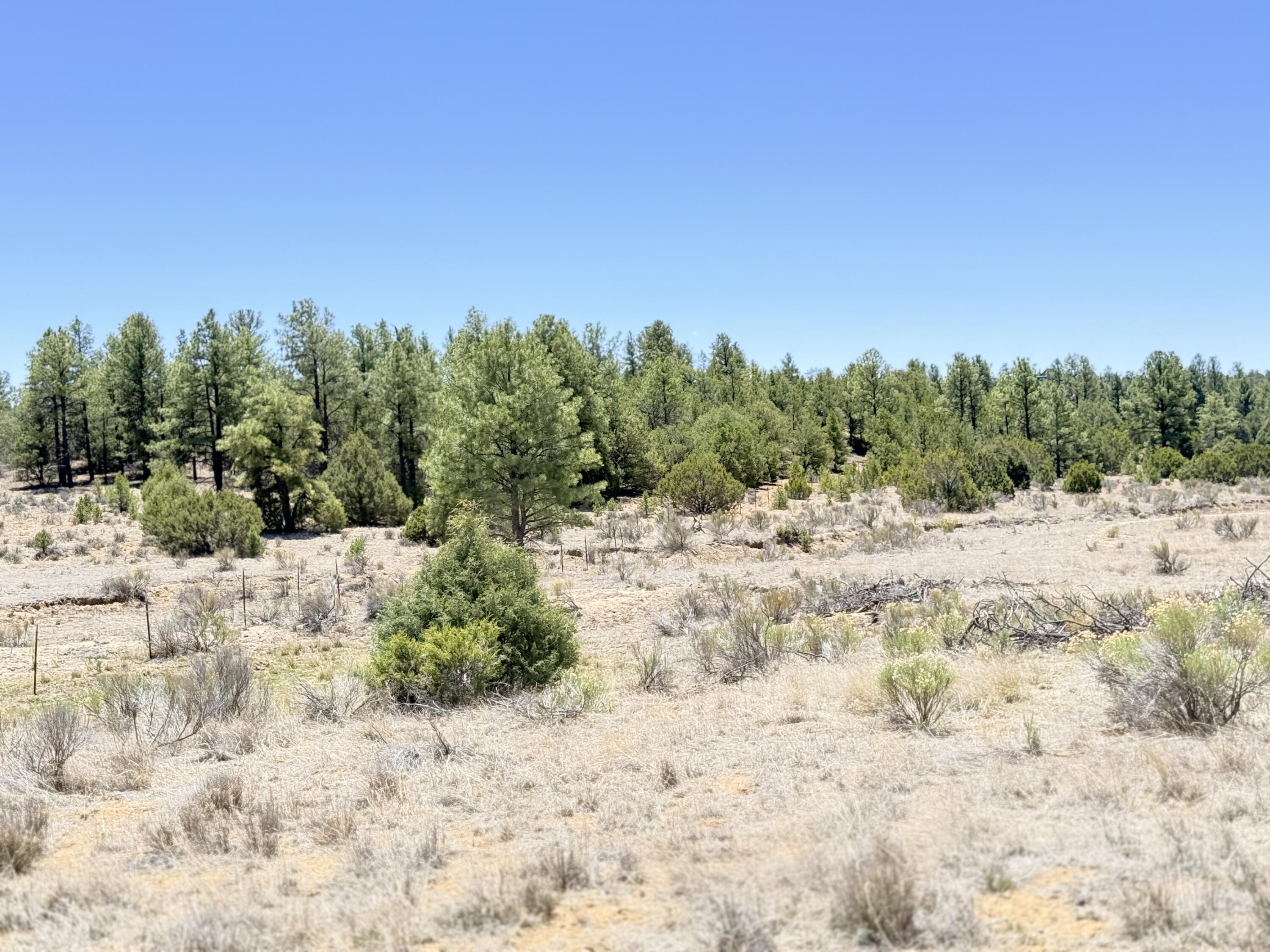 994 Wild Horse Ranch Road