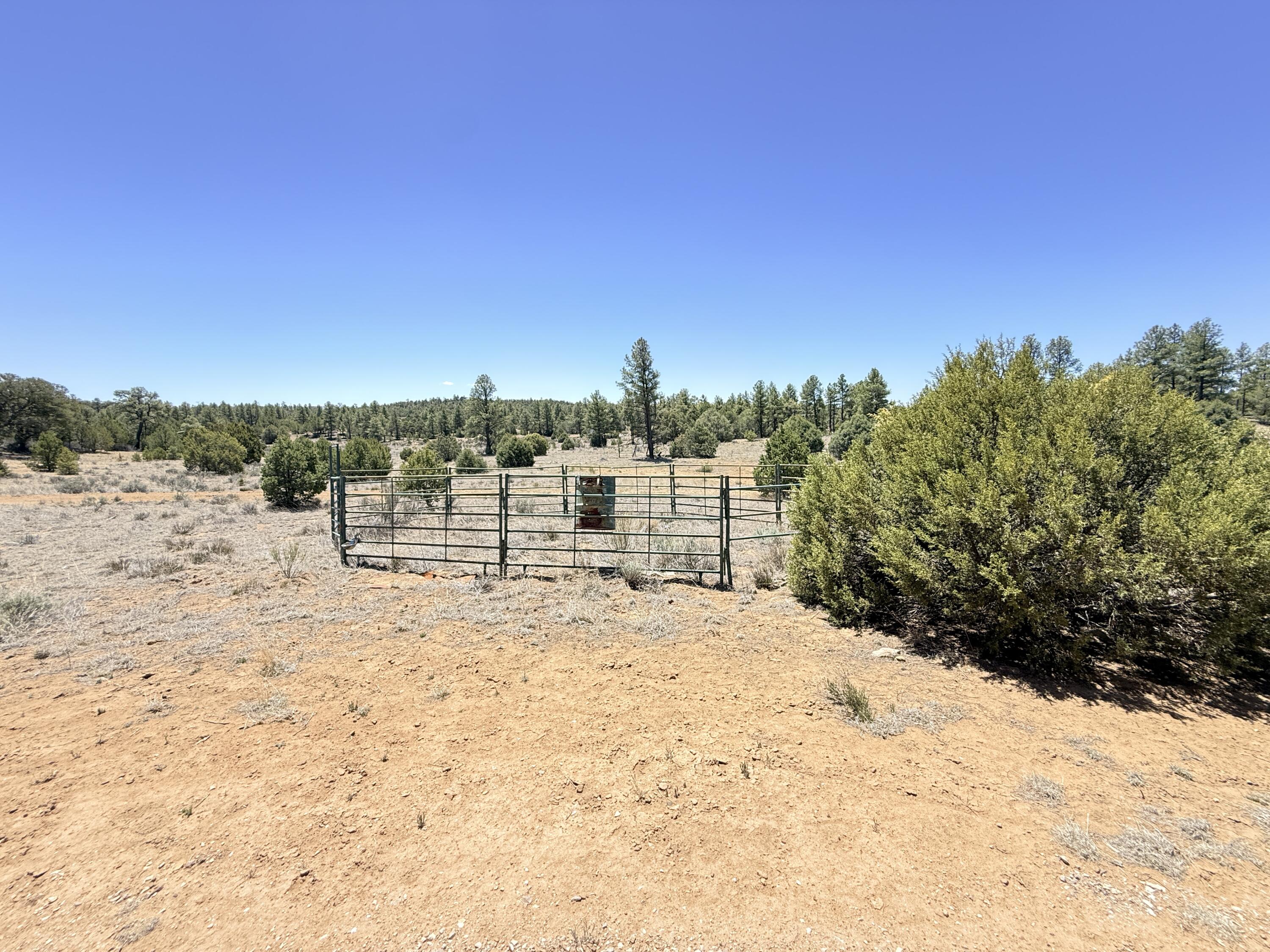 994 Wild Horse Ranch Road