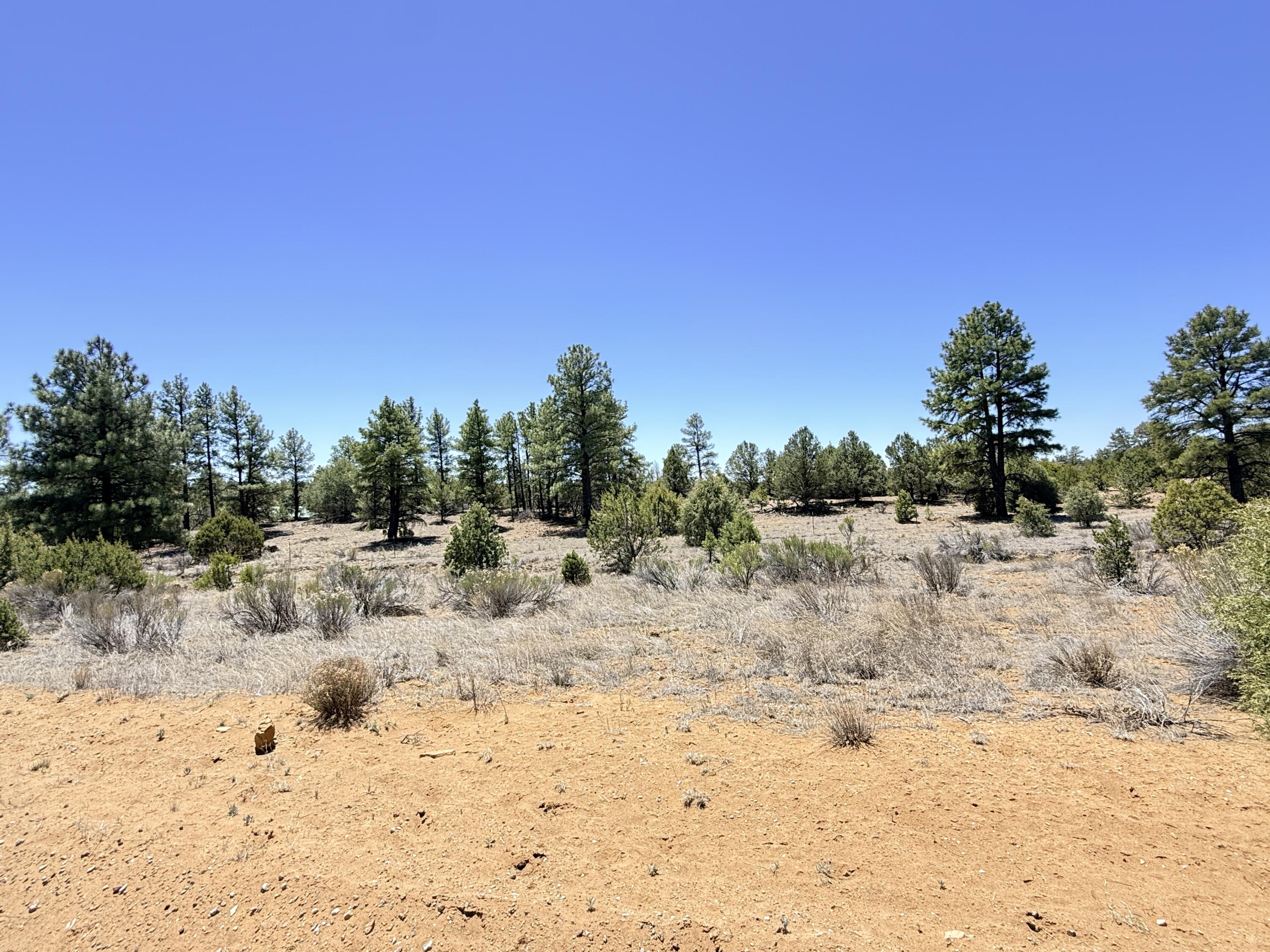 994 Wild Horse Ranch Road