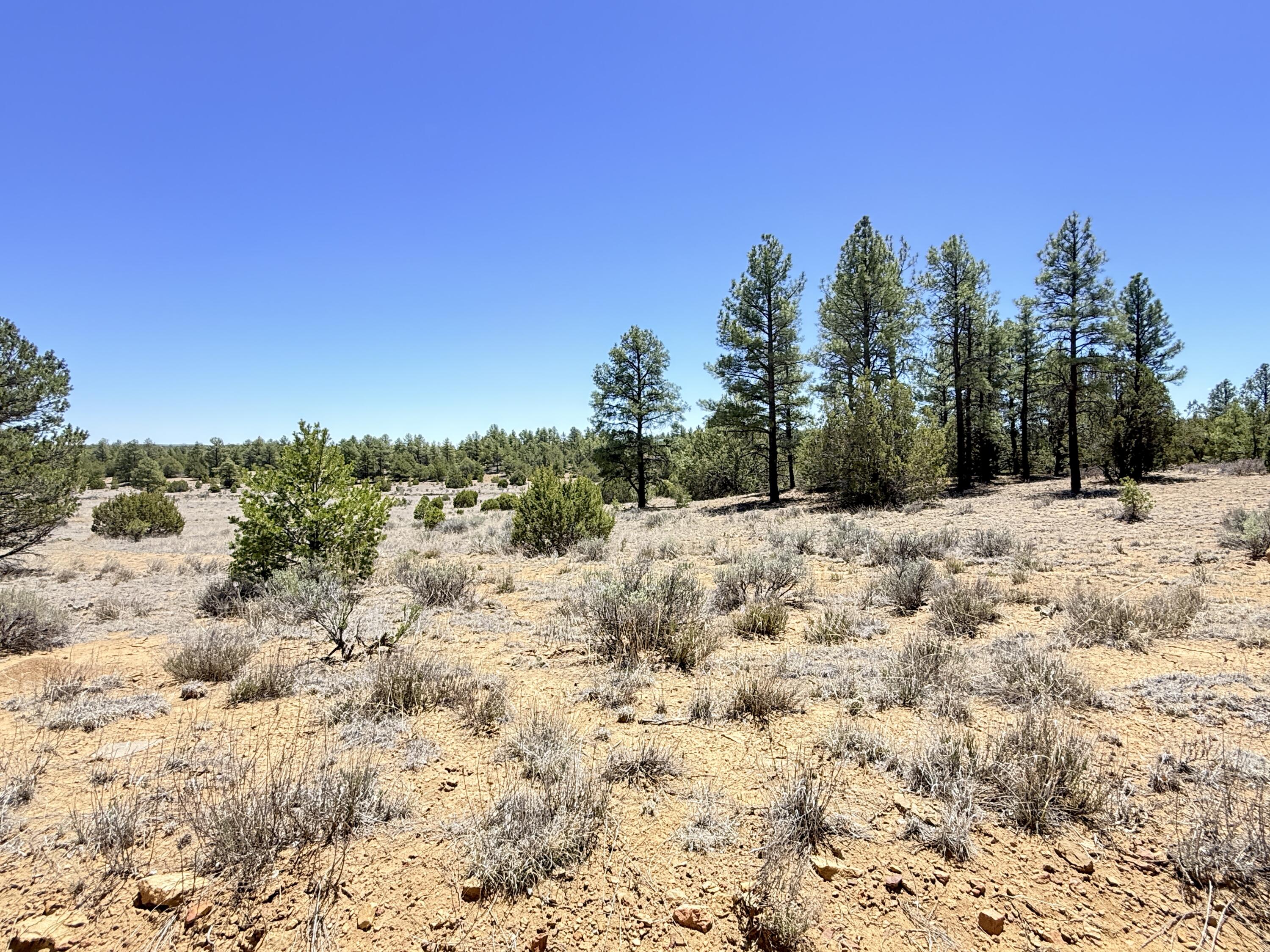 994 Wild Horse Ranch Road