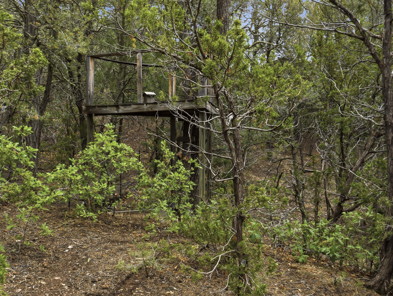 20 Cedar Hill Drive